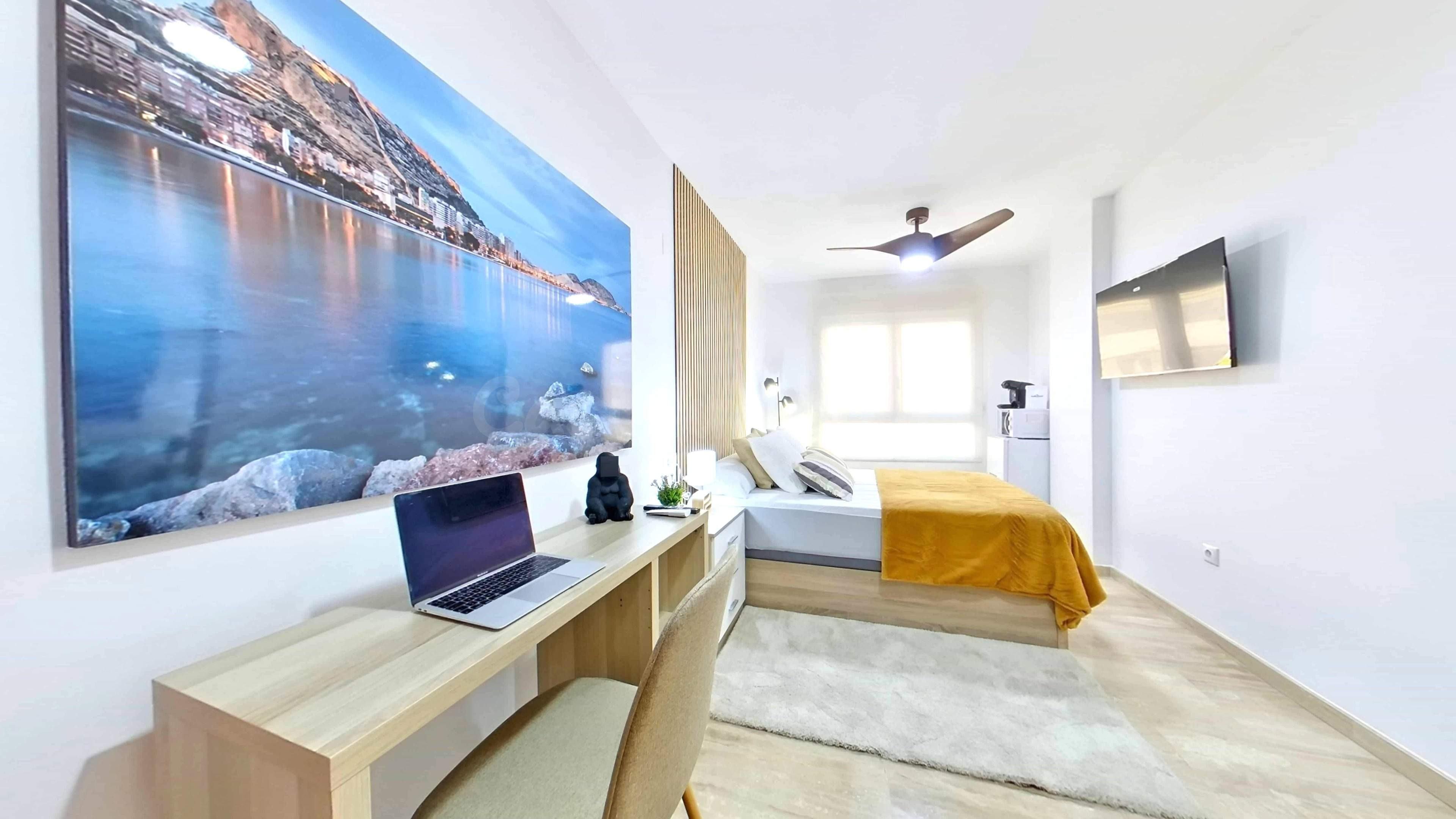 *****  Habitación Albufera en pleno centro de Alicante *****