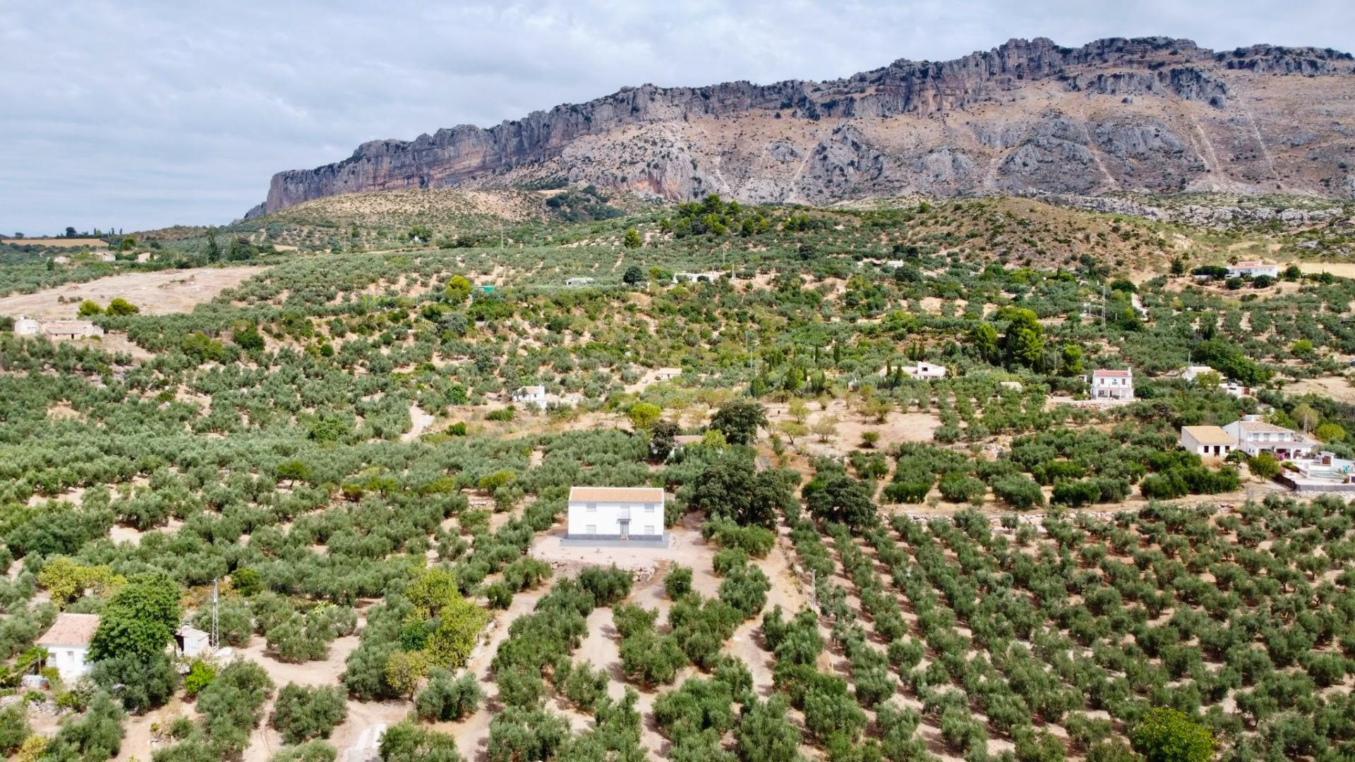 Encantadora casa de campo a los pies de El Torcal de Antequera.