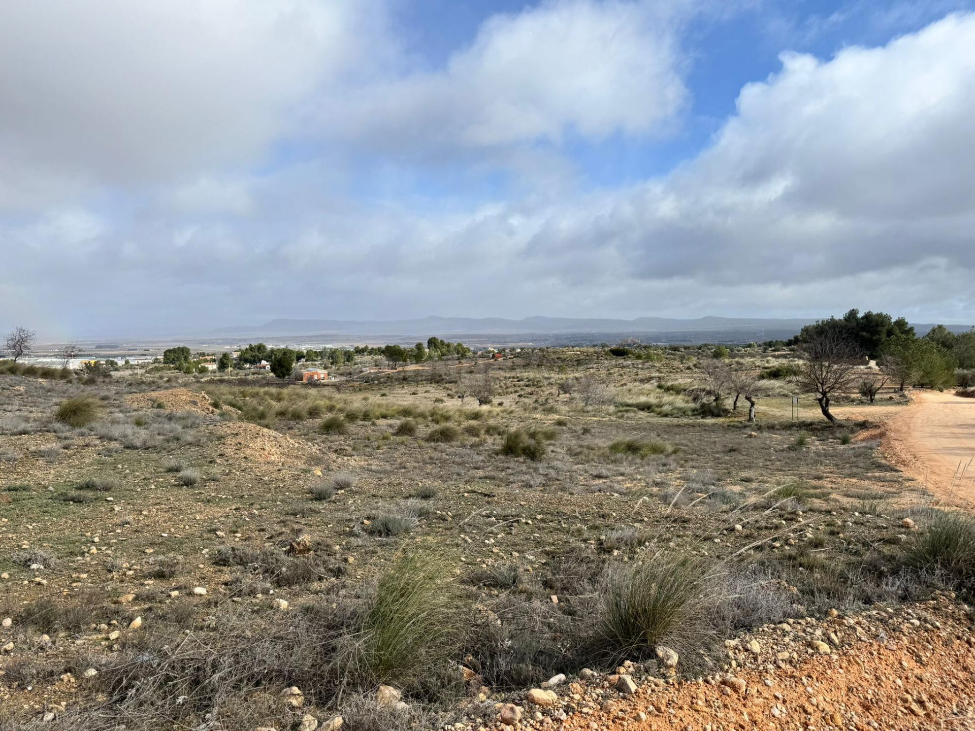 EXCELENTE PARCELA EN PARAJE DE LAS FUENTECICAS