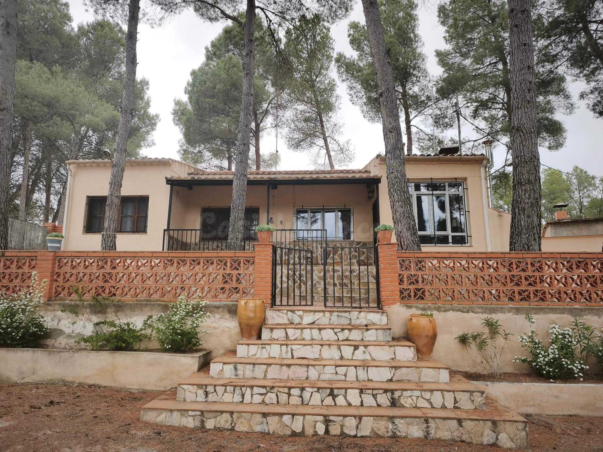 CHALET EN LAS FUENTECICAS - DISPONE DE POZO Y AGUA