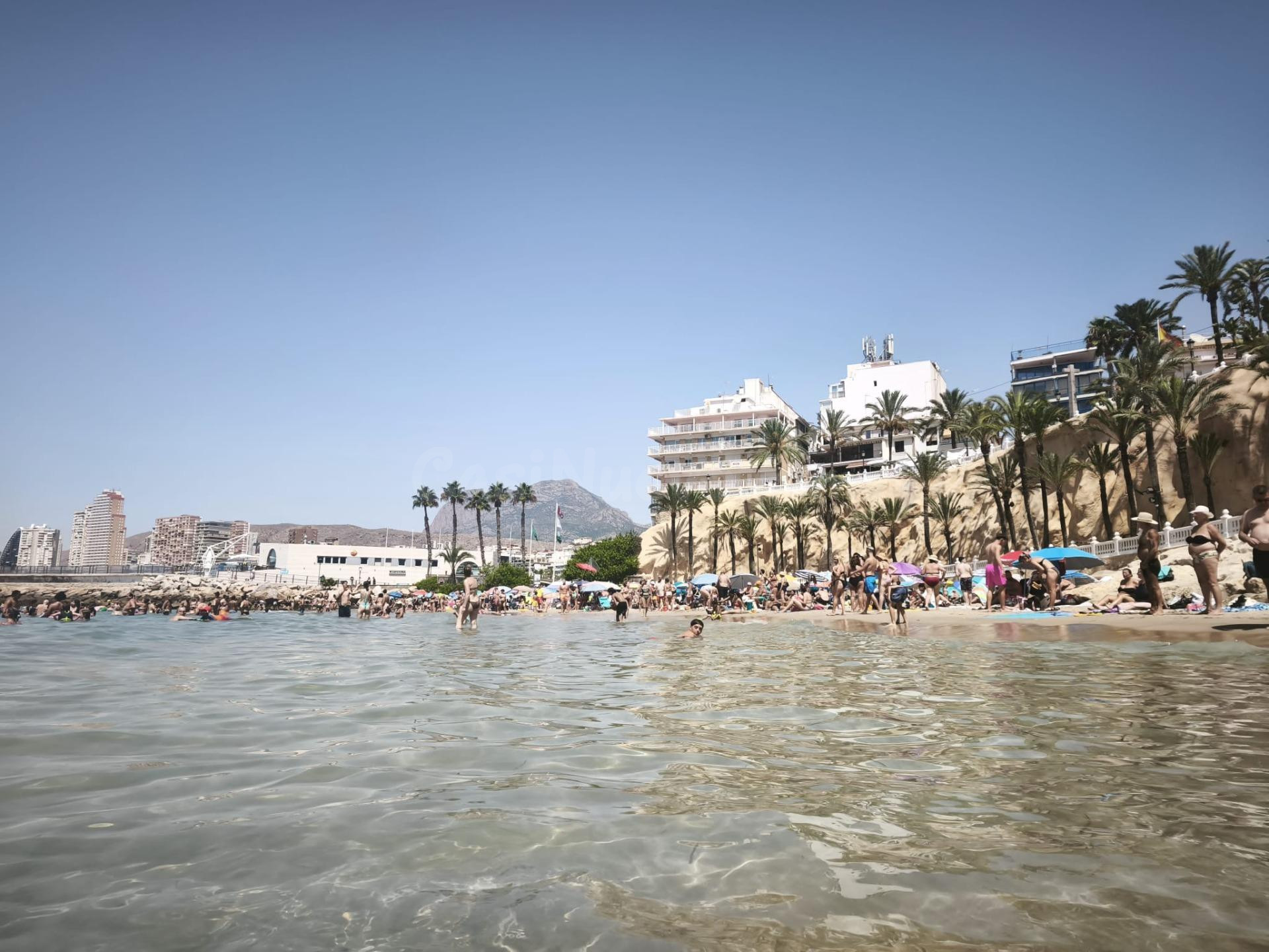 Oportunidad Piso único en Benidorm con 3 dormitorios en primera línea de playa Levante - Centro, Cala Mal Pas