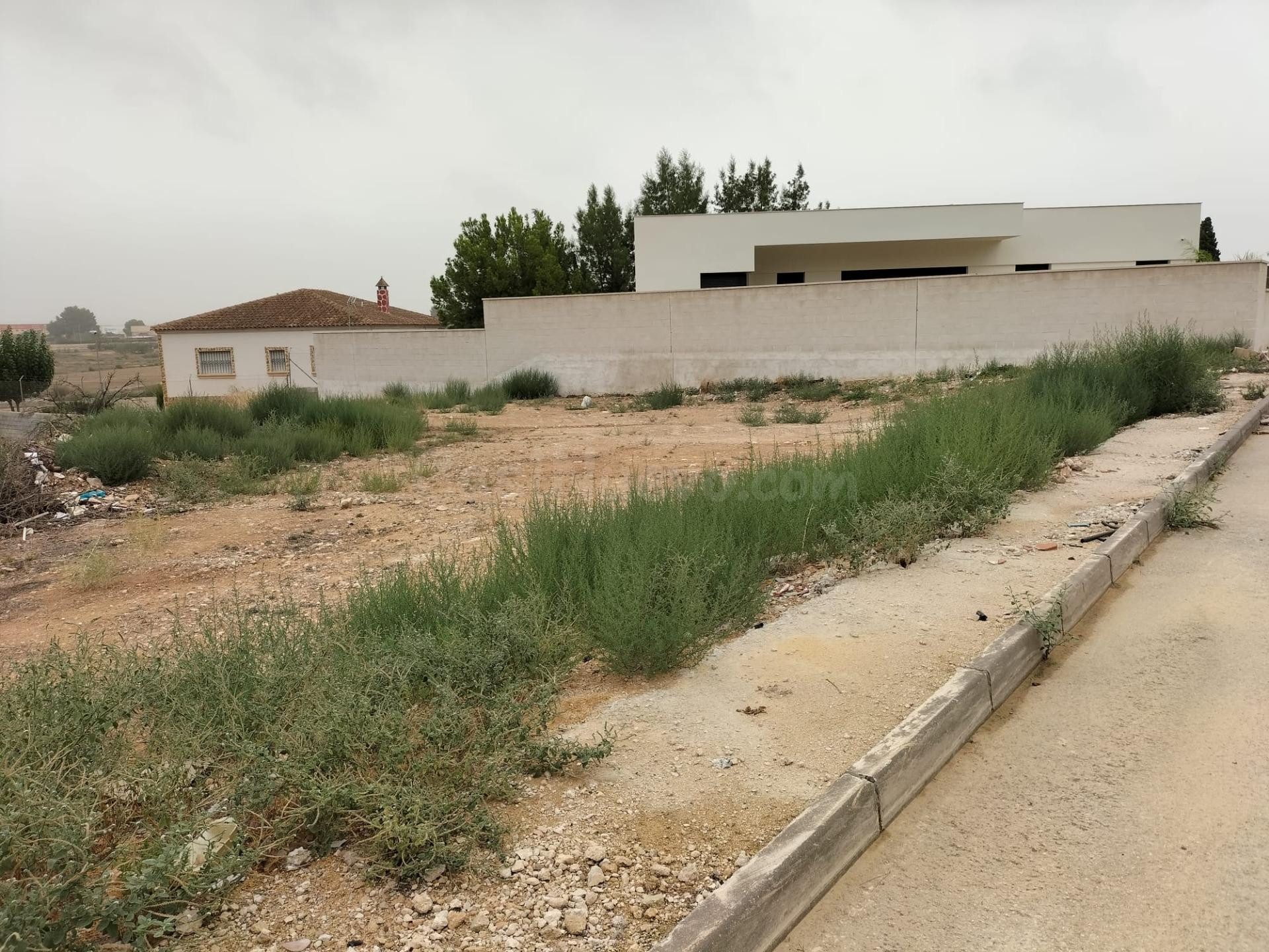 TERRENO URBANO EN COX