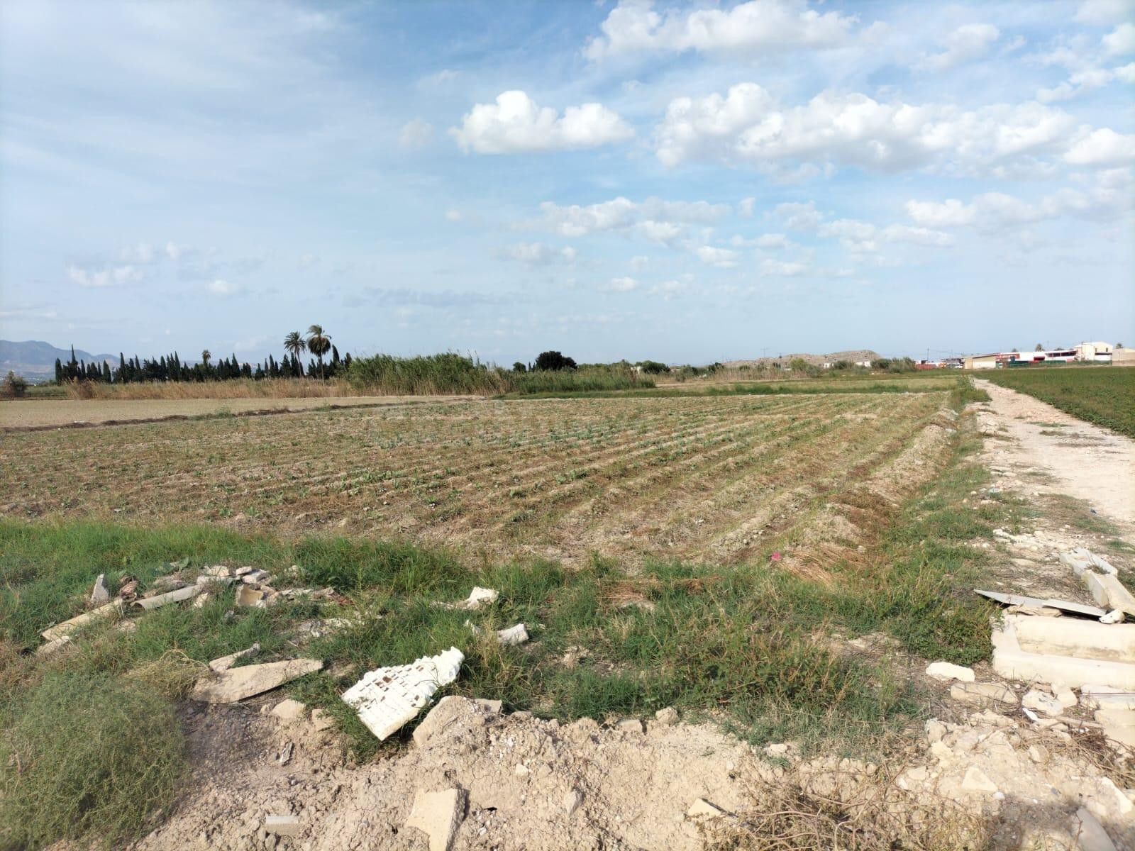 TIERRA DE CULTIVO EN COX