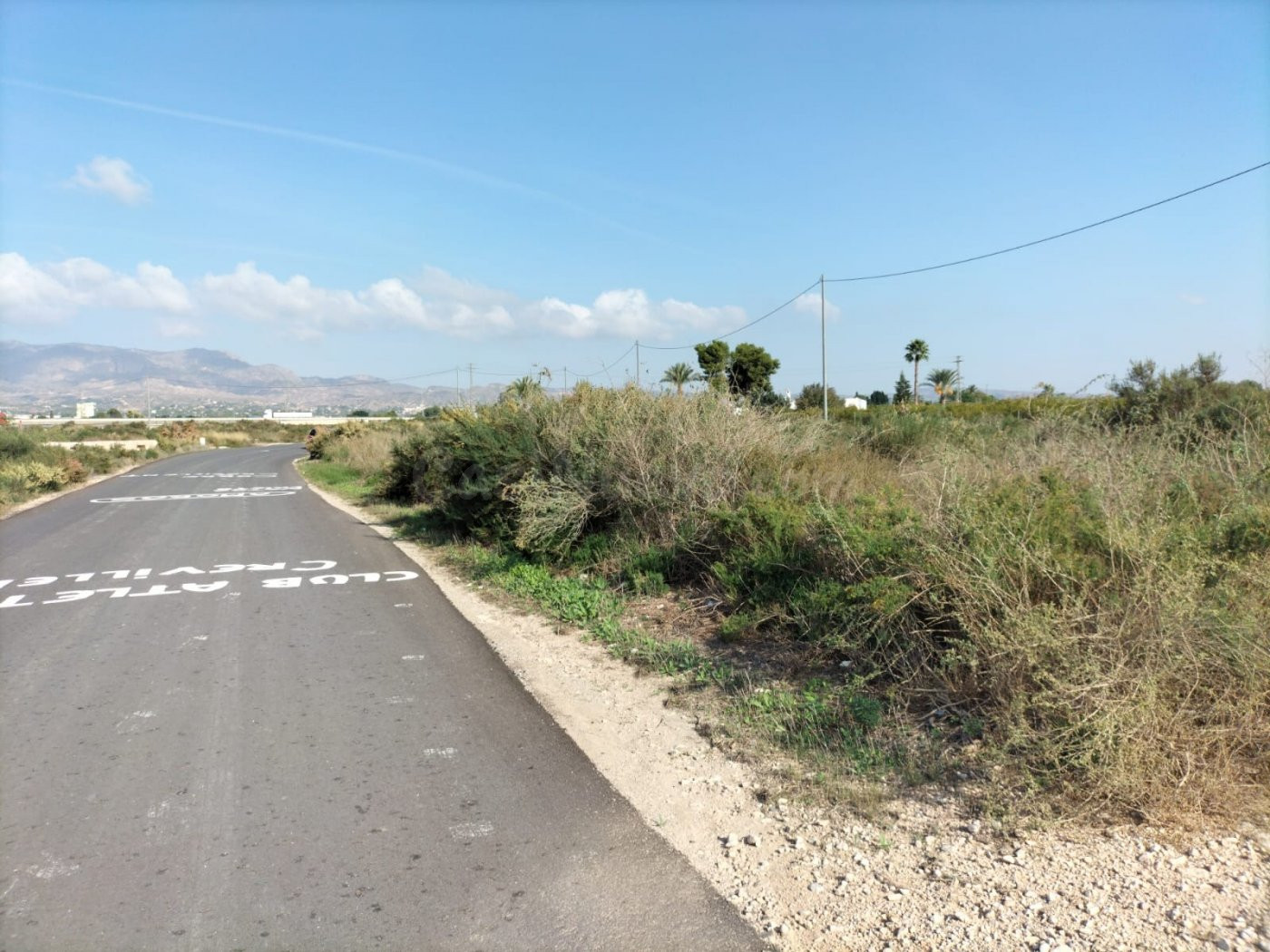 TIERRA RUSTICA EN CREVILLENT