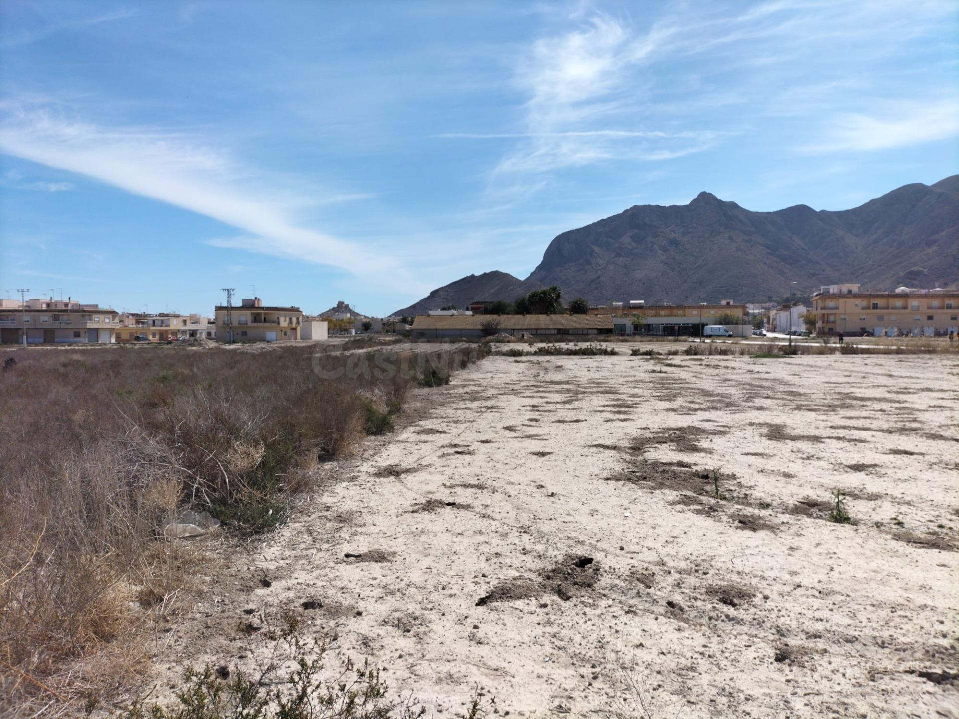 TERRENO URBANIZABLE  EN COX