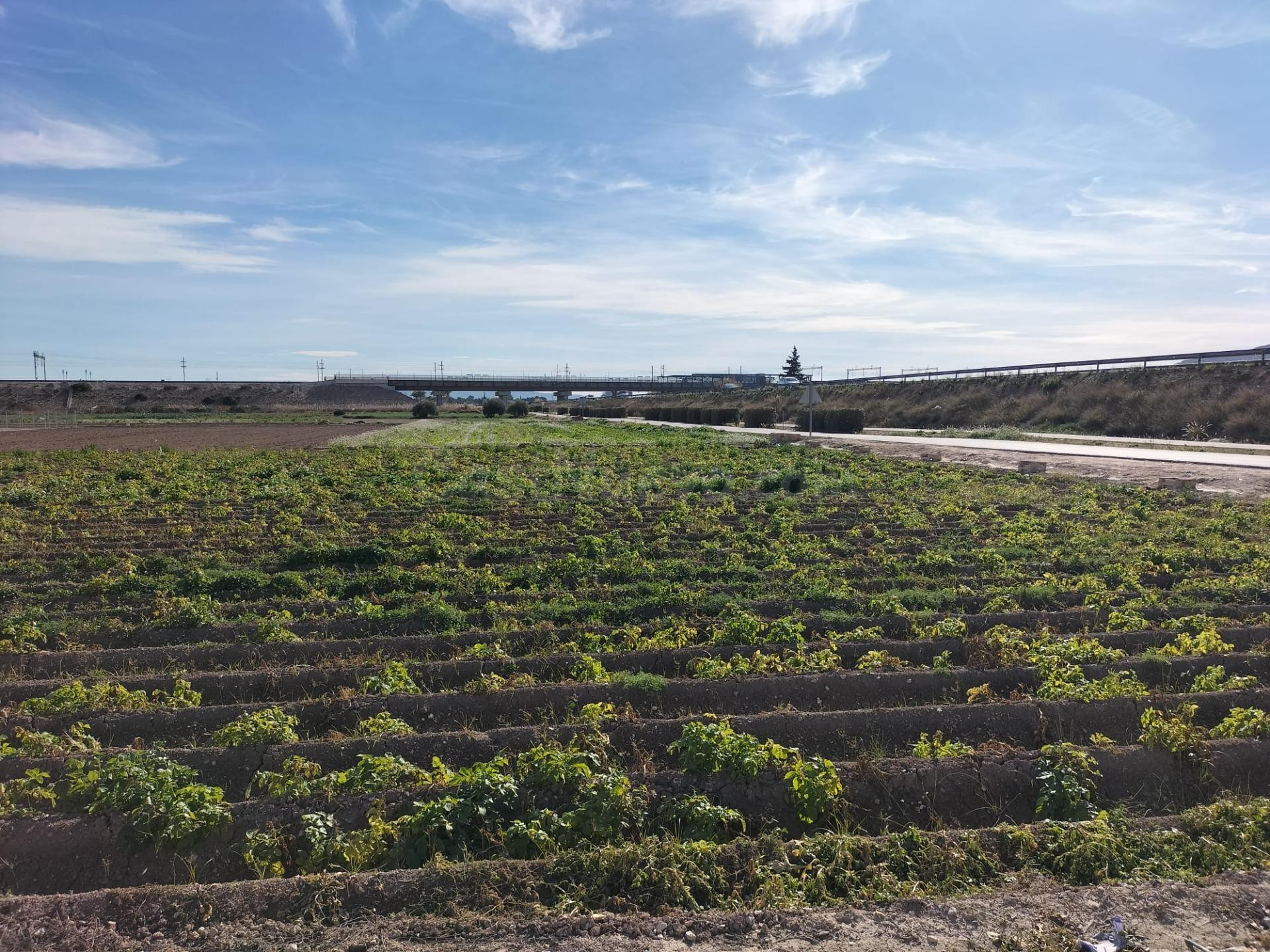TERRENO RUSTICO EN HUERTA DE COX