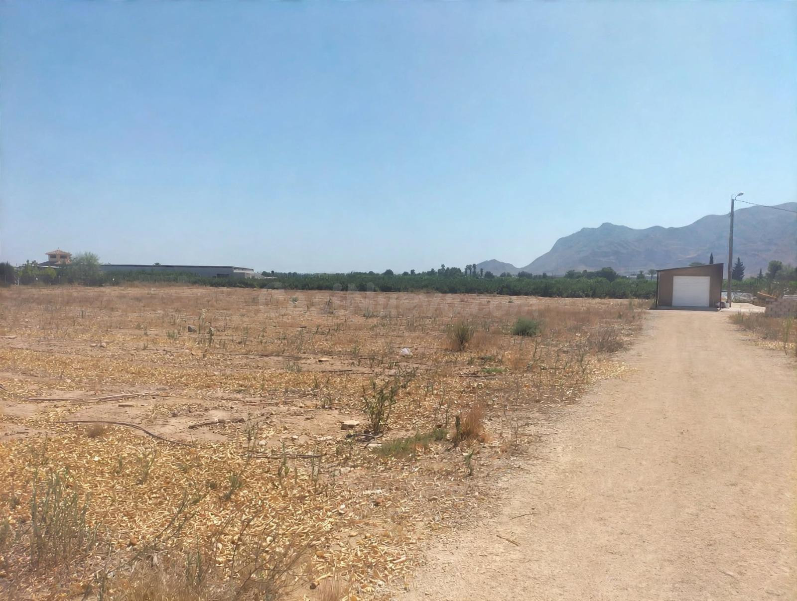 FINCA RÚSTICA CON BALSA DE RIEGO Y CASA DE APEROS.
