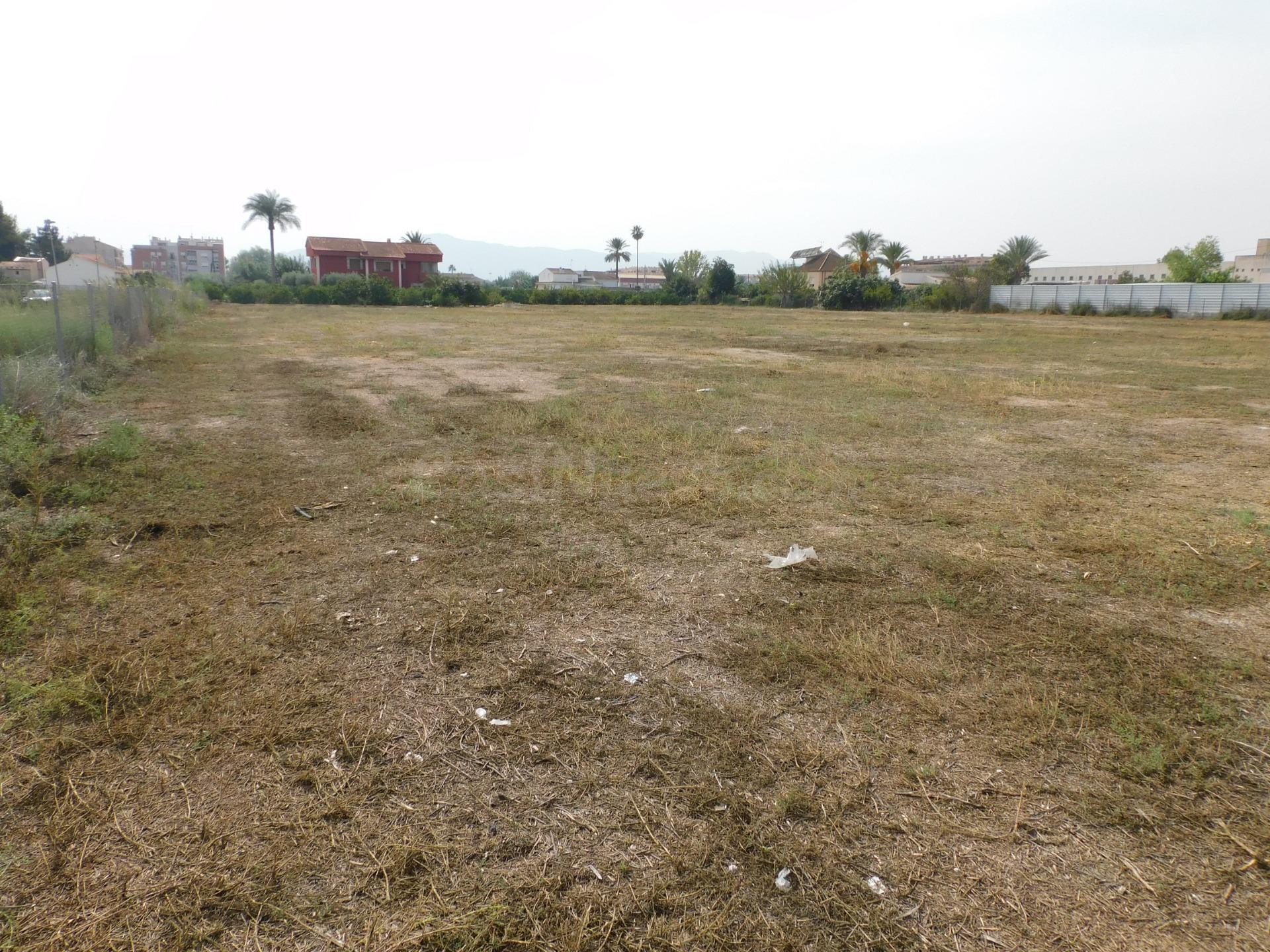 VENTA PARCELA DE HUERTA DE 8.323 M2 EN CRTA. ALICANTE