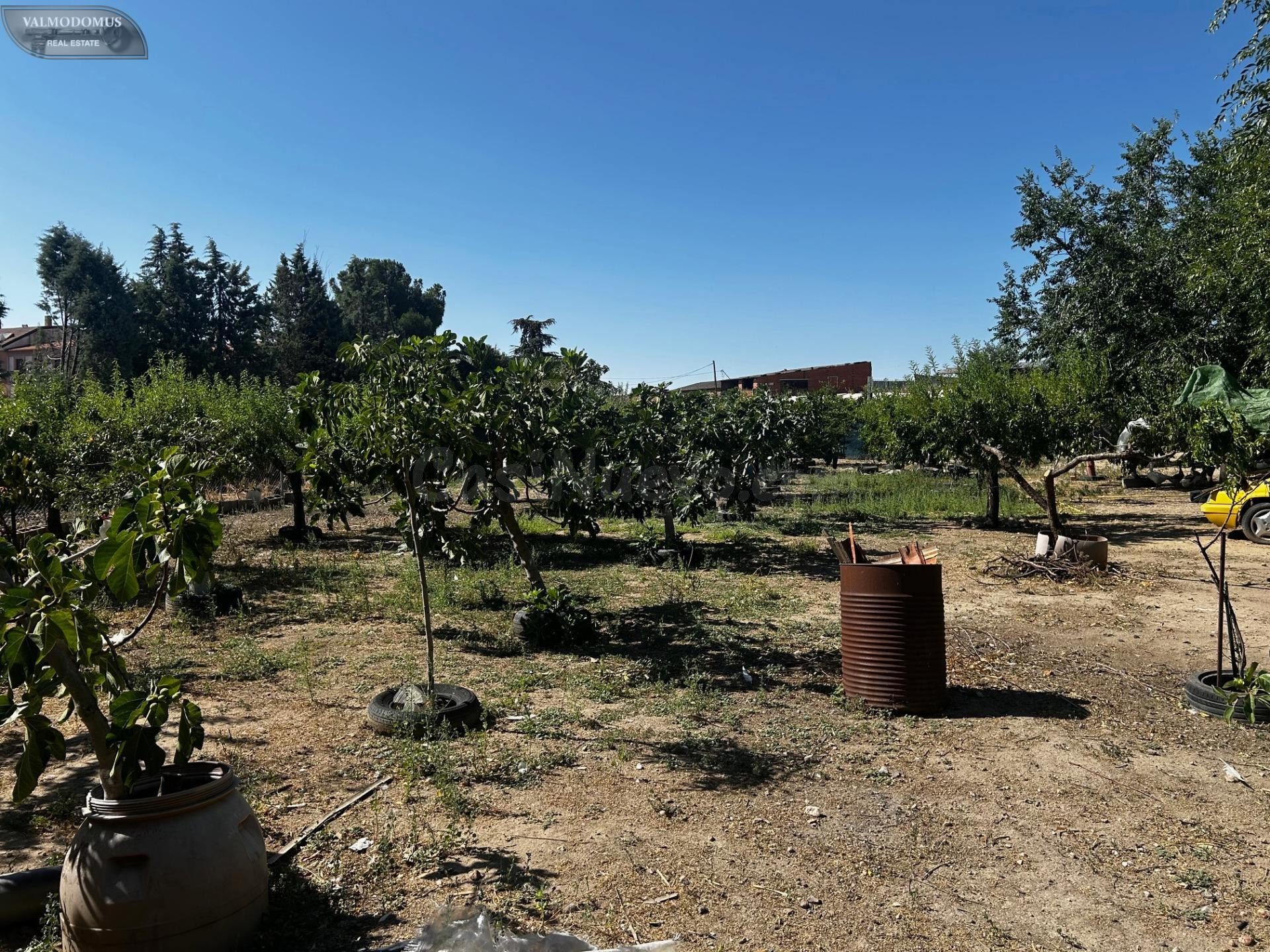 Finca rústica en venta a la entrada de Casarrubios del Monte
