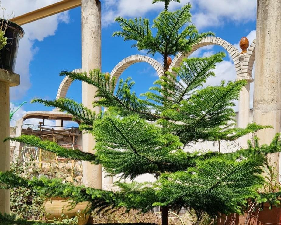 Impresionante Casa en Venta en Porcuna, Jaén por €220,000 - foto 4