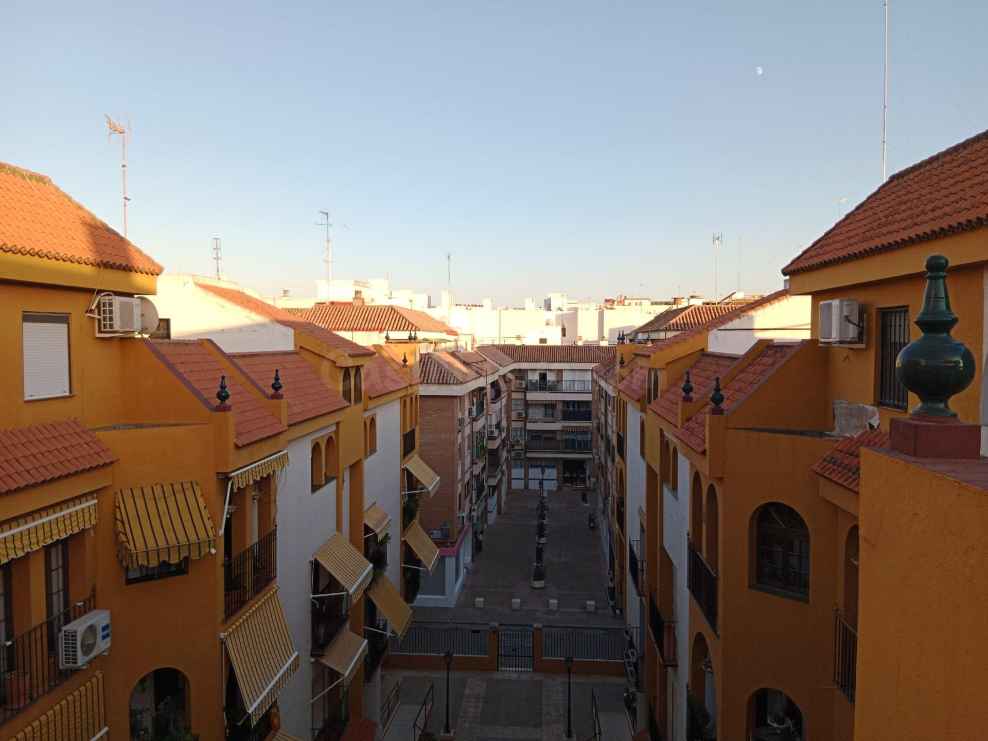 TRIANA