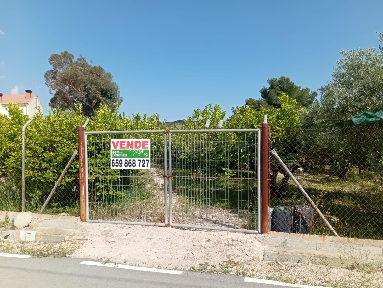 Parcela de 1000 metros, urbano directo, en La Loma (Las Torres de Cotillas)