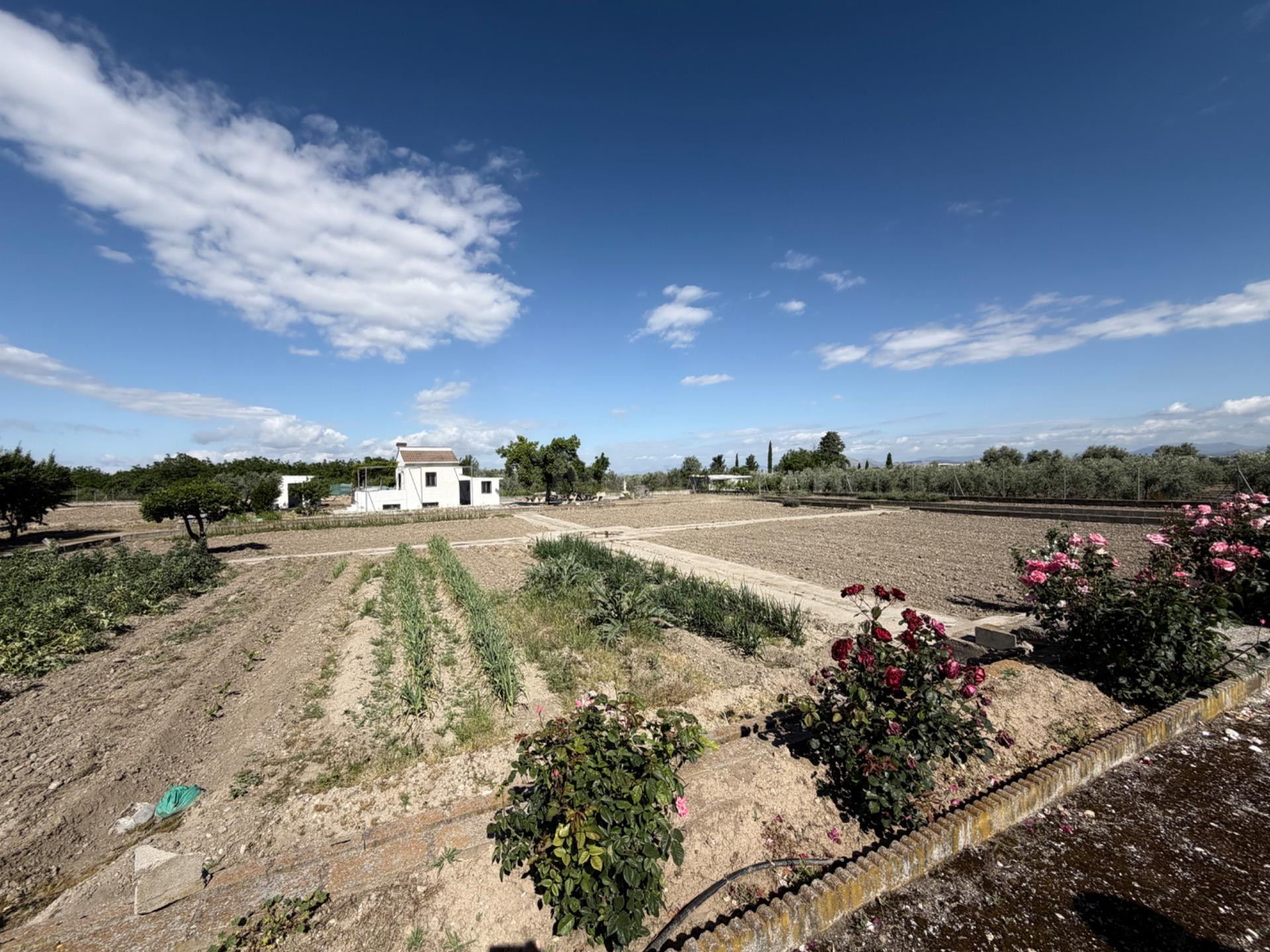 Venta de cortijo en La Zubia.