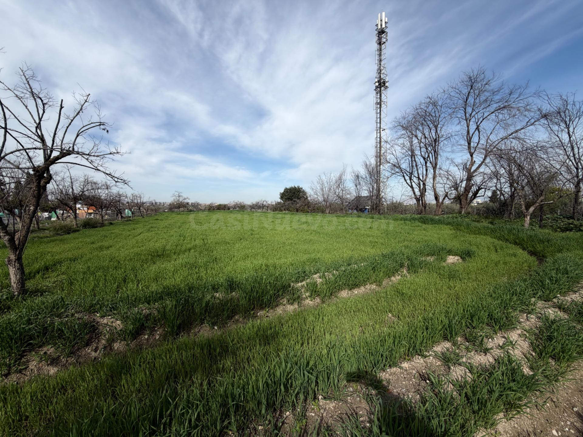 Venta de terreno rustico en La Zubia