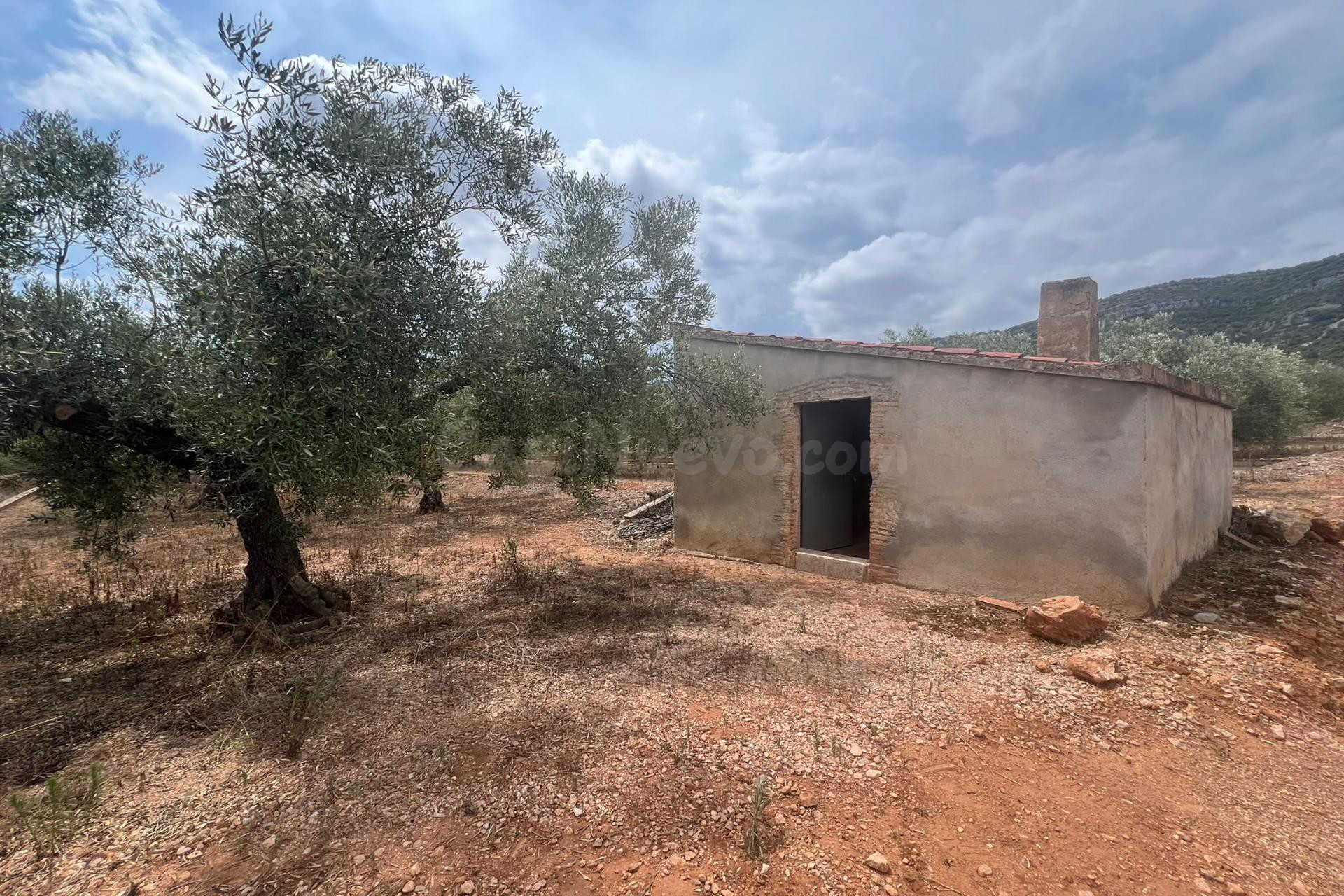 Finca rústica con caseta de aperos en Freginals