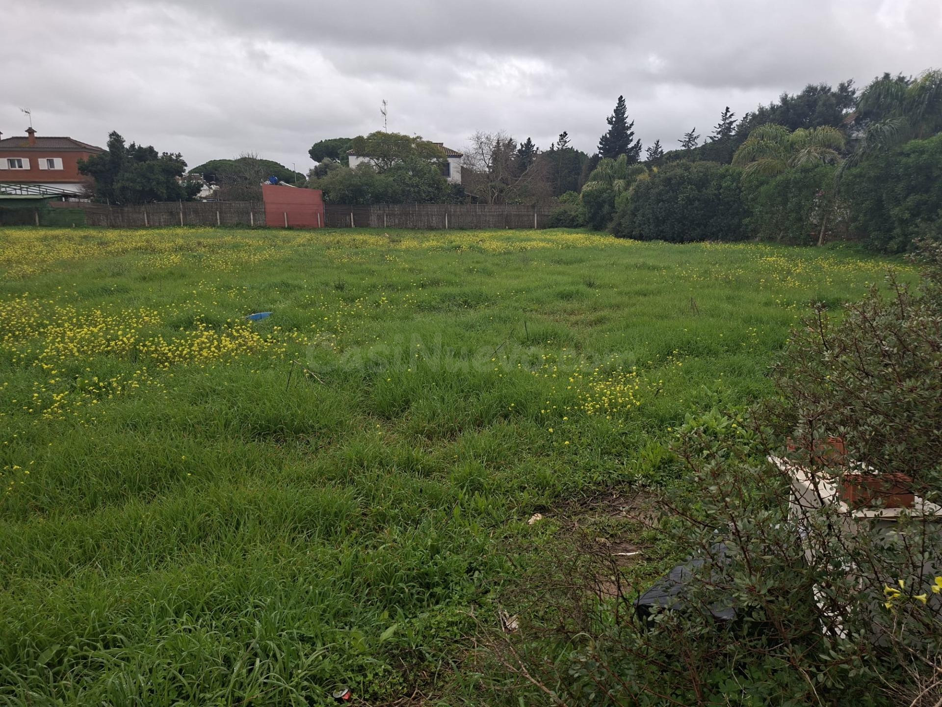 Parcela segregada en venta. Camino de la Verbena