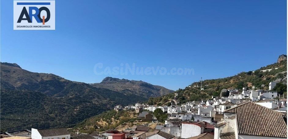OPORTUNIDAD DE INVERSIÓN: CASA SEÑORIAL DE 330 M2 CON PARCEL - foto 2
