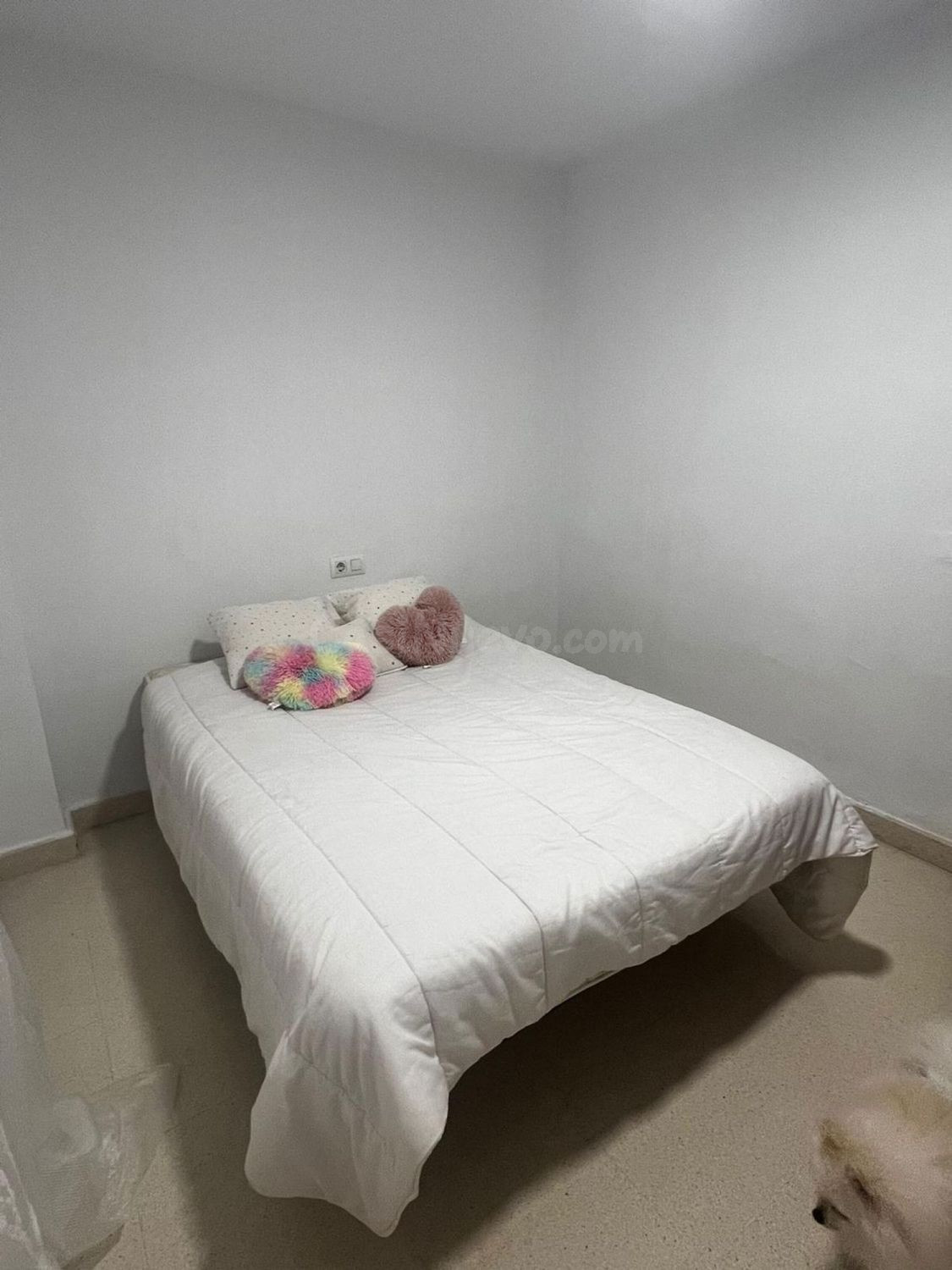 � Habitación en alquiler en Teatinos , YA DISPONIBLE– Calle Eolo (Málaga) - 500€