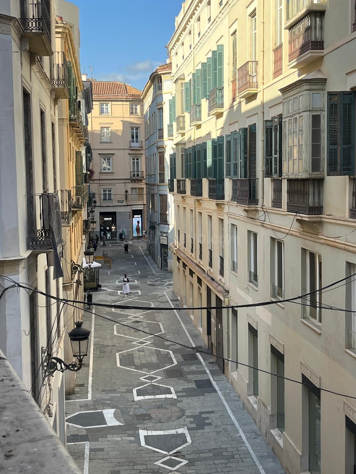 205 m2 junto a Calle Larios | Propiedad singular con múltiples posibilidades