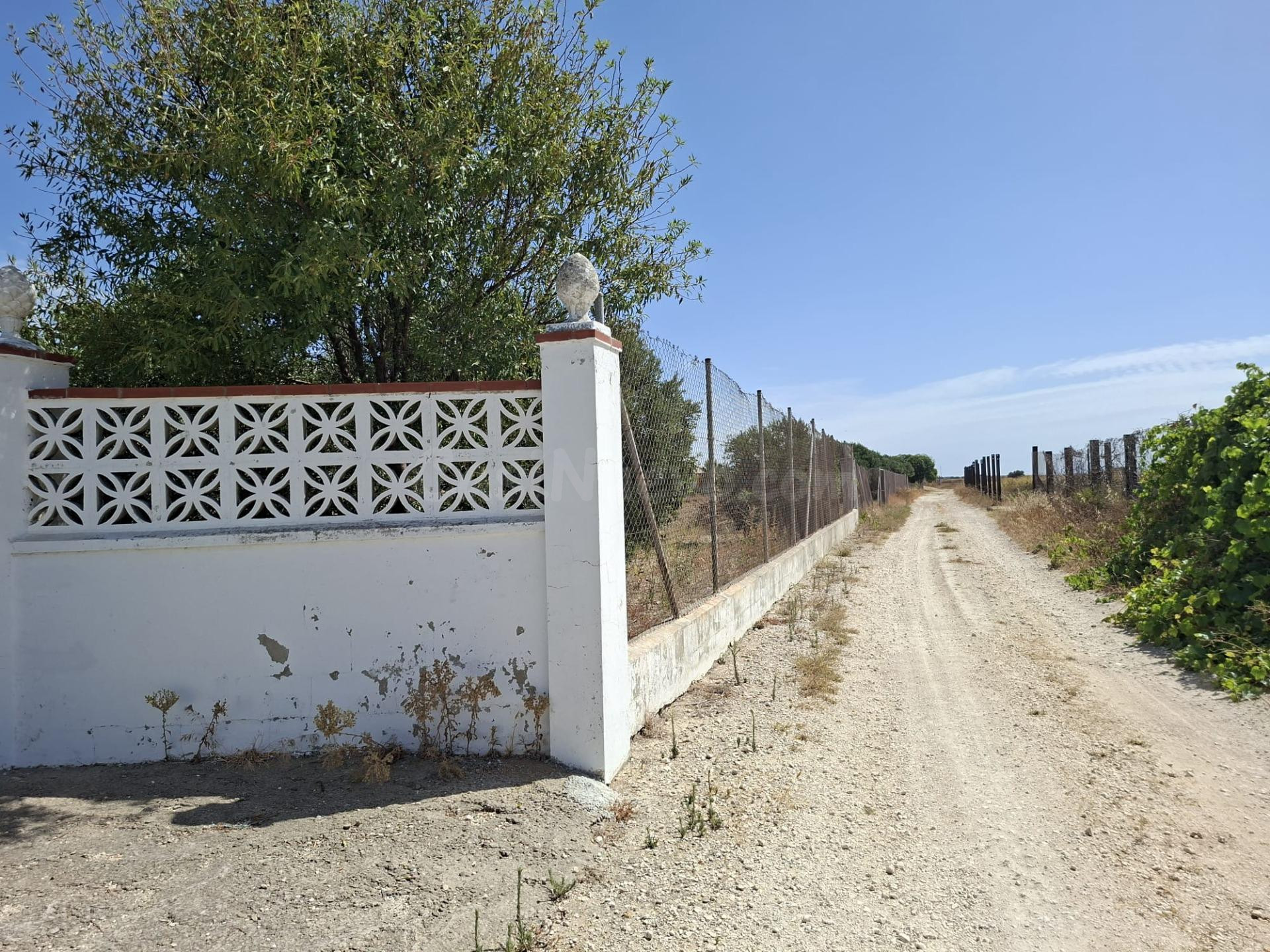 PARCELA EN CHICLANA DE LA FRONTERA