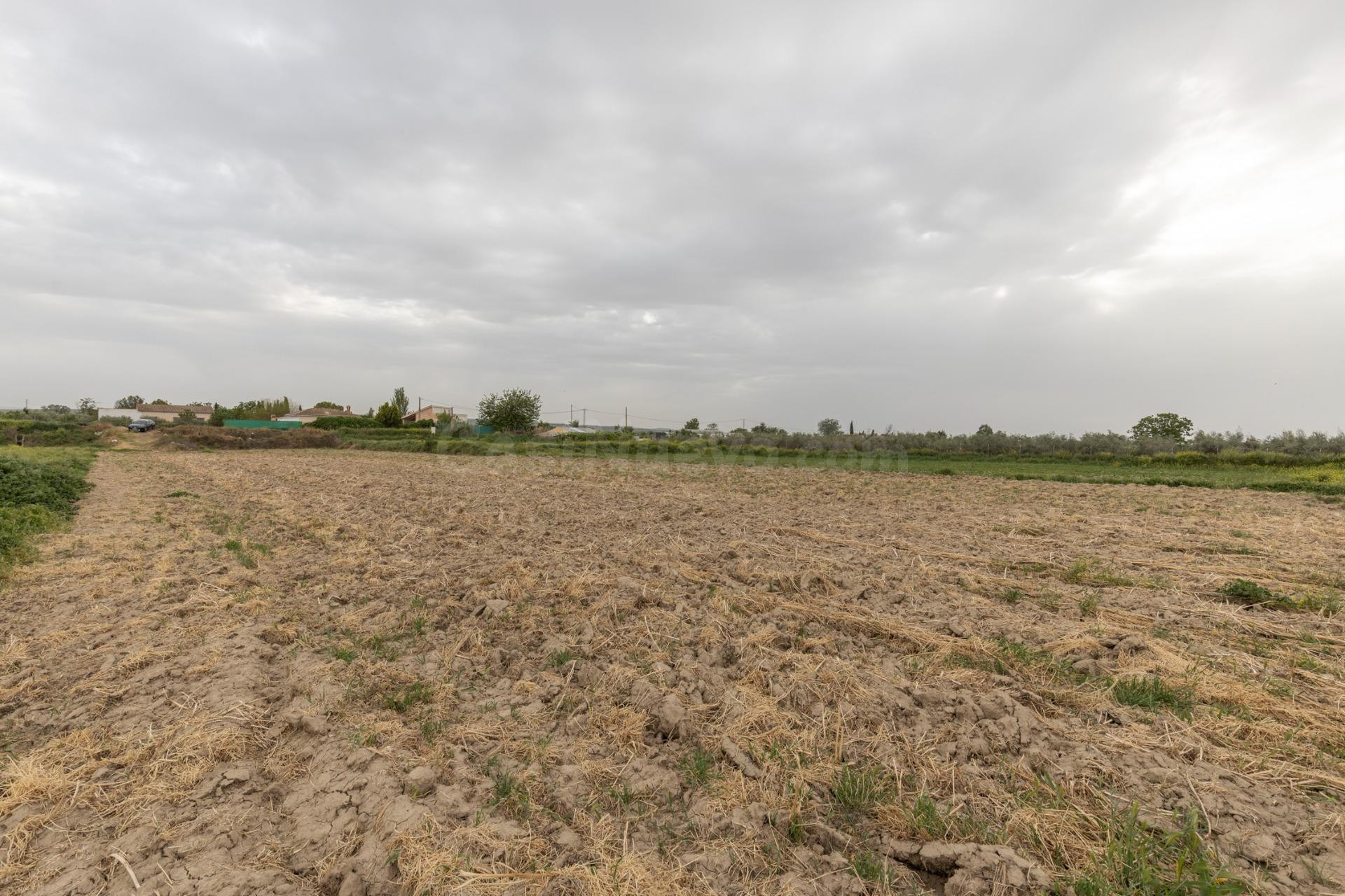 PARCELA RÚSTICA DE 3.500 M2 EN SANTA FE