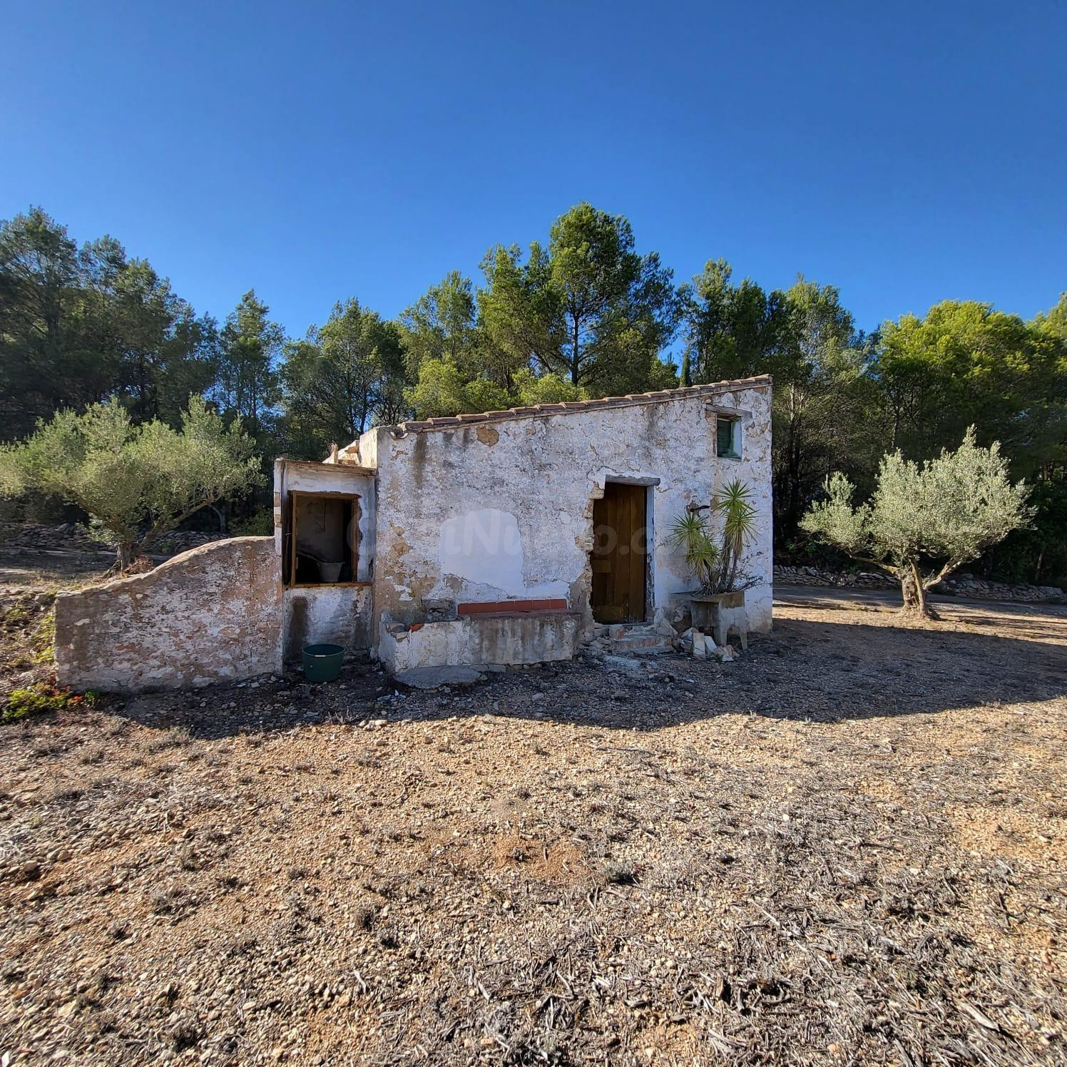 Finca Rústica con caseta de campo para rehabilitar, vistas mar y montaña