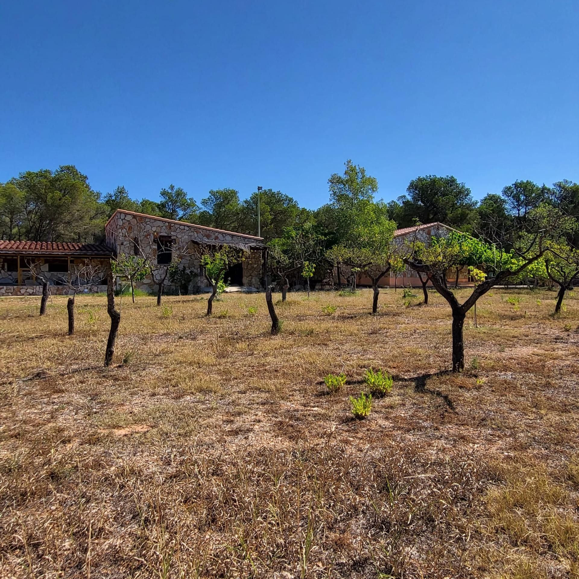 Magnífica Finca de 25.270 m2, con vivienda unifamiliar, de 192 m2 construidos
