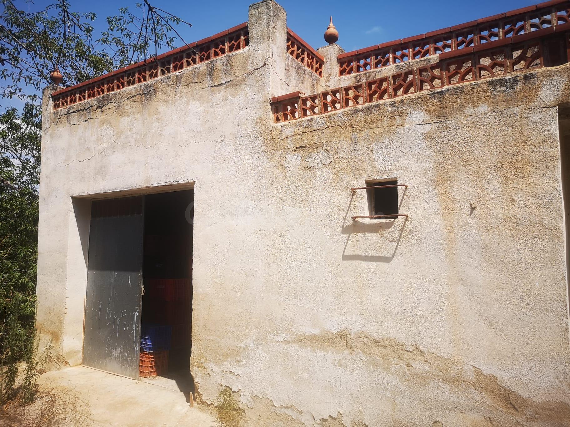 CASA EN FINCA DE NARANJOS CON POZO PROPIO
