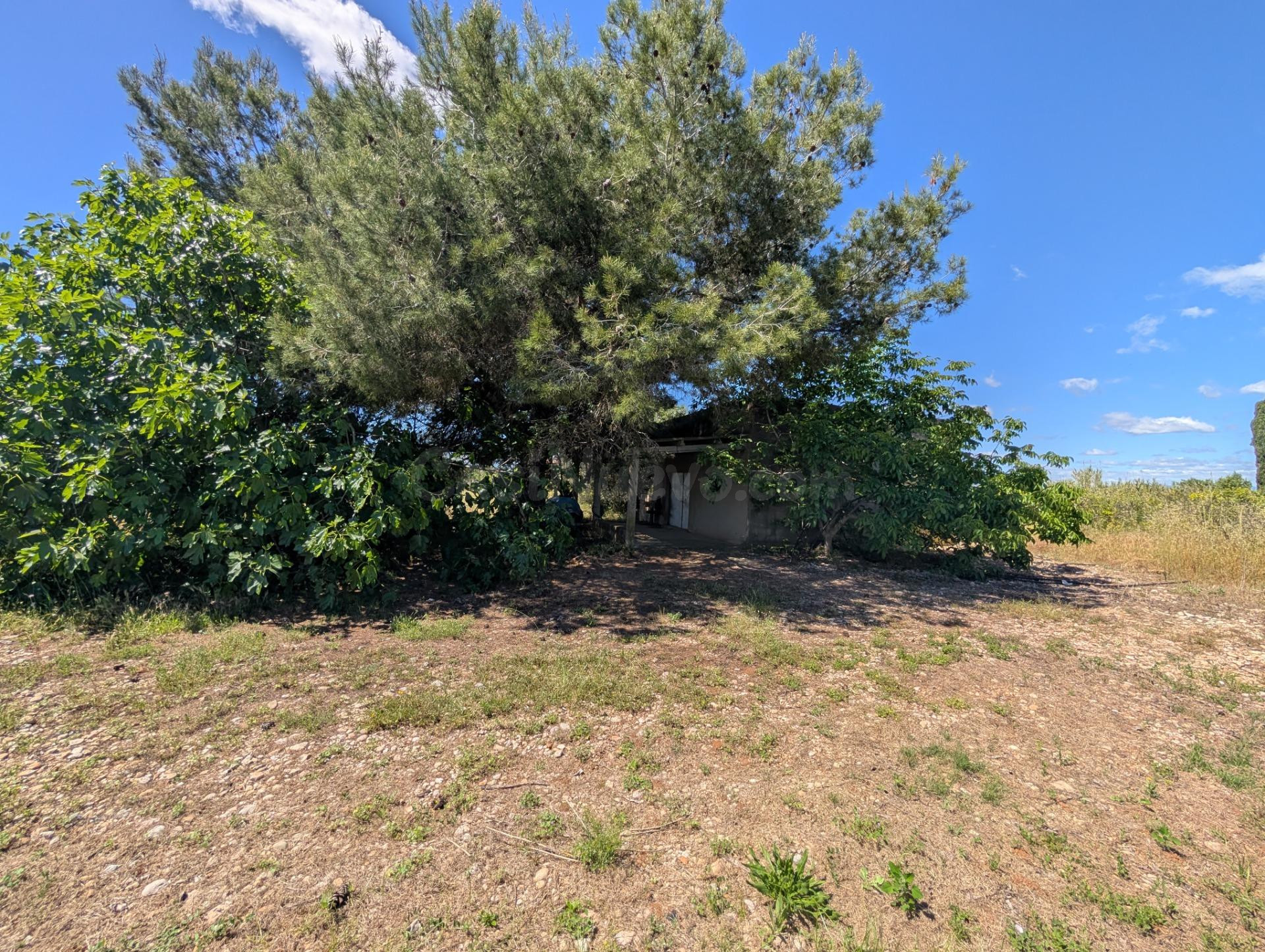 Finca de Ensueño con Casa de Campo a Pocos Kilómetros del Mar