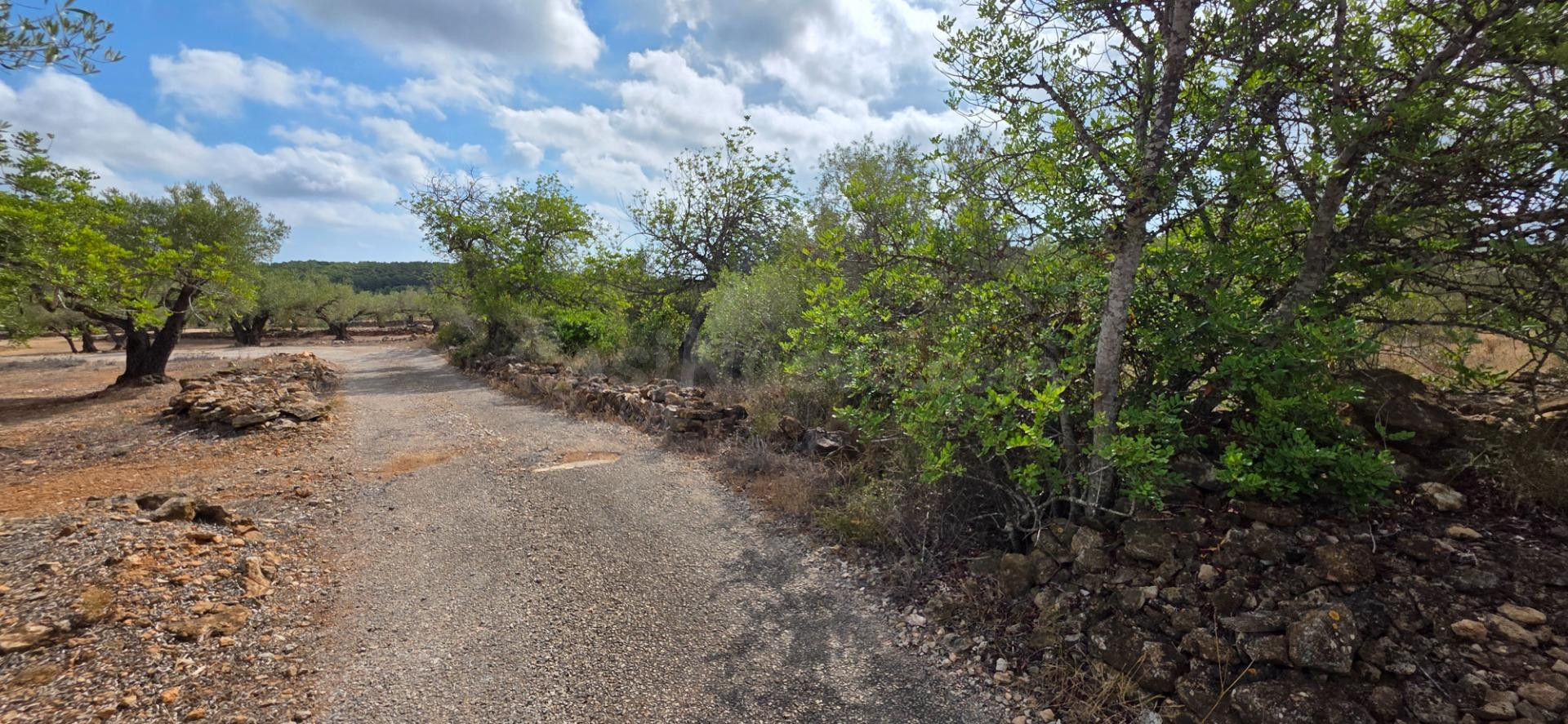Finca rústica con olivos y buen acceso, entre El Perelló y l’Ametlla de Mar