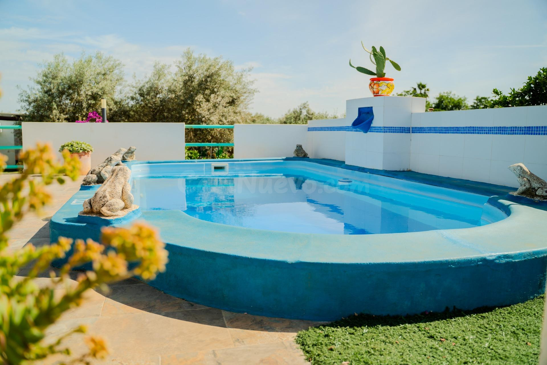 MÁS QUE UNA CASA, UN ESTILO DE VIDA! OASIS CON RENTABILIDAD  - foto 2