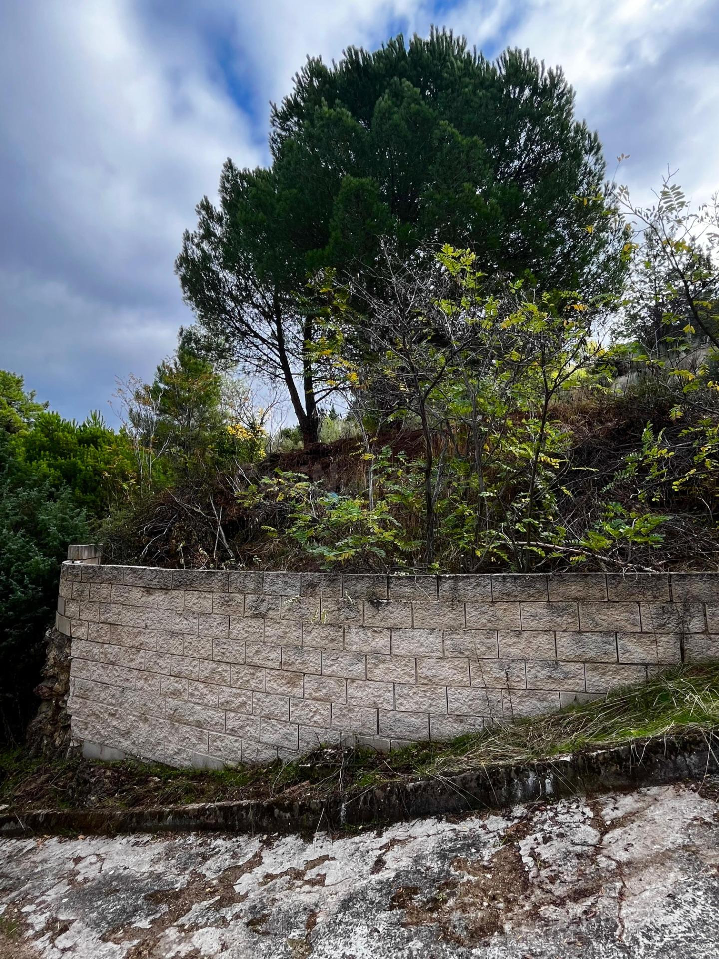 Terreno urbanizable en venta - Robledo de Chavela - foto 4