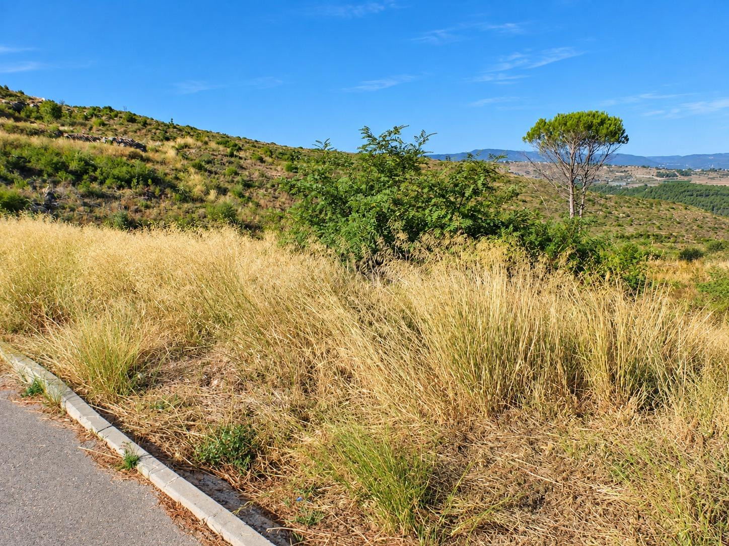 Parcela urbanizable de 804 m2 en El Pont de Vilomara i Rocafort