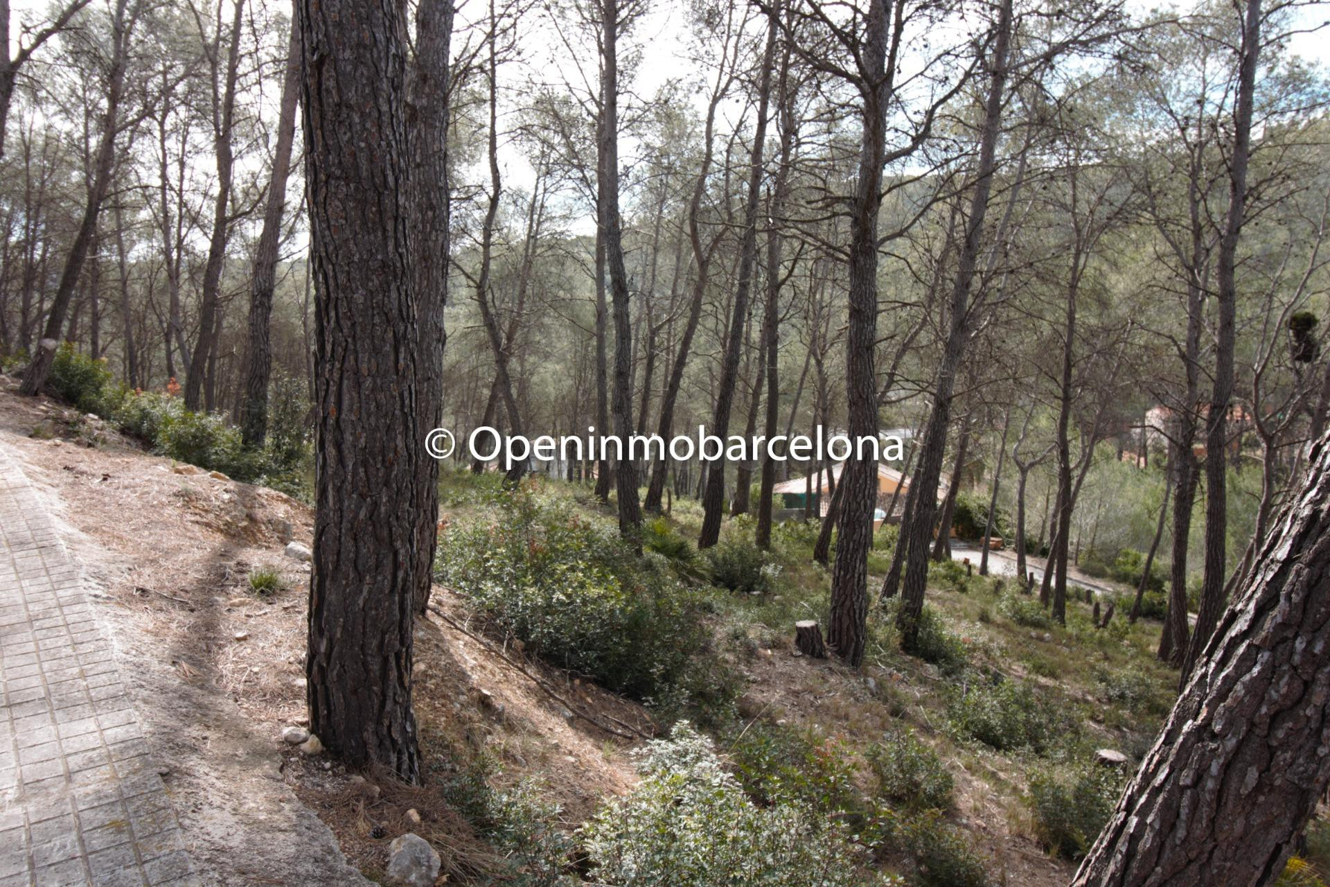 PARCELA EN OLIVELLA, LAS COLINAS