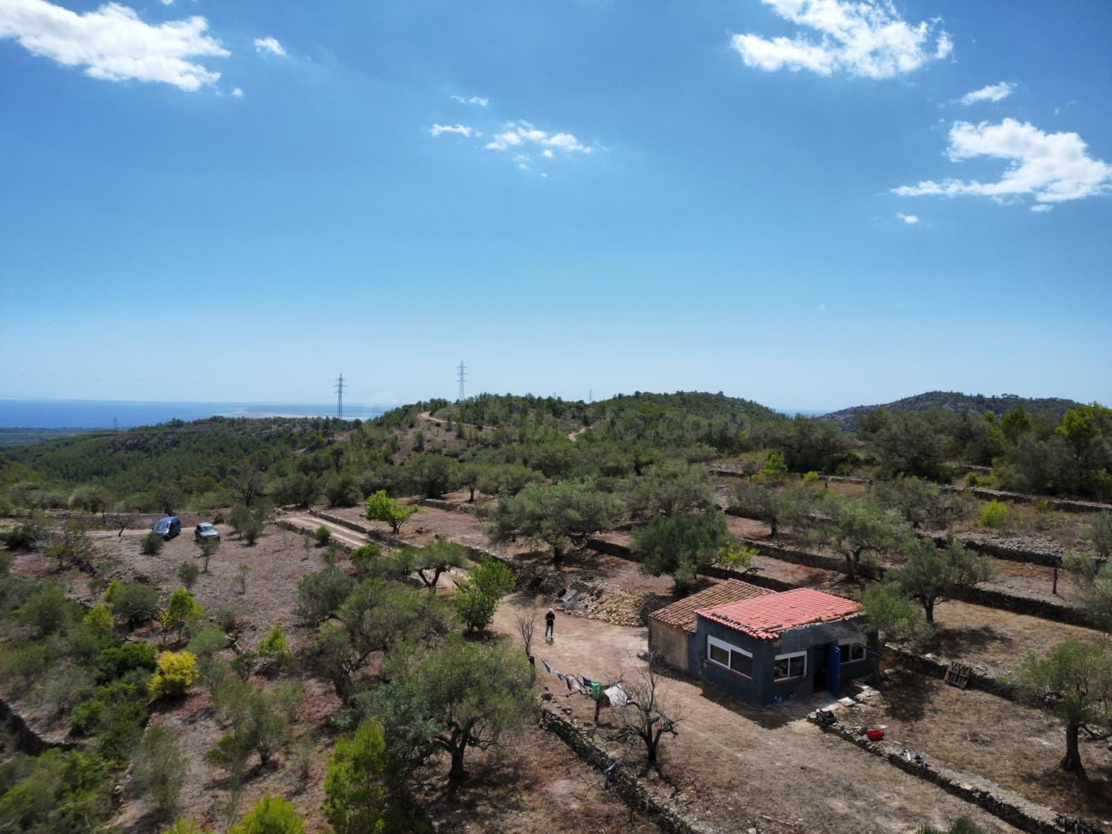 Magnífica finca rústica con vistas al mar y construcciones legalizadas en El Perelló