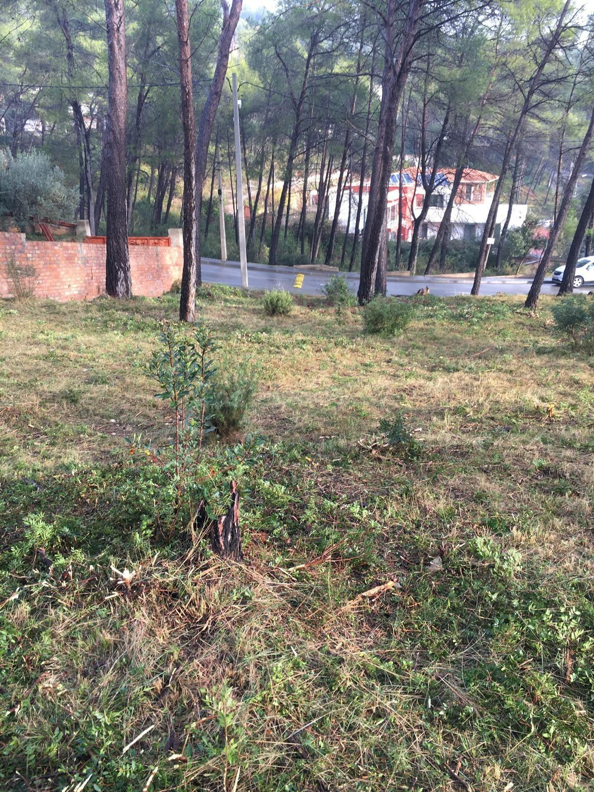 Estupenda parcela en Les colines