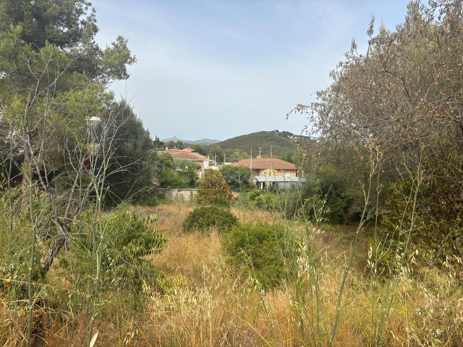 Estupendas parcelas contiguas en canyelles