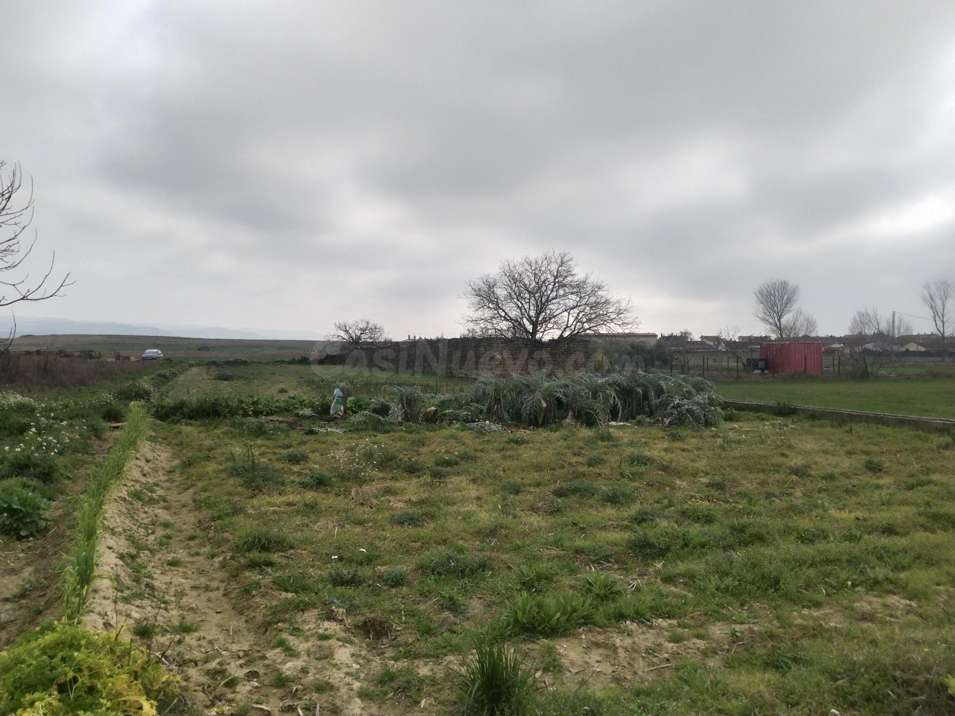 Terreno Urbano y Rustico