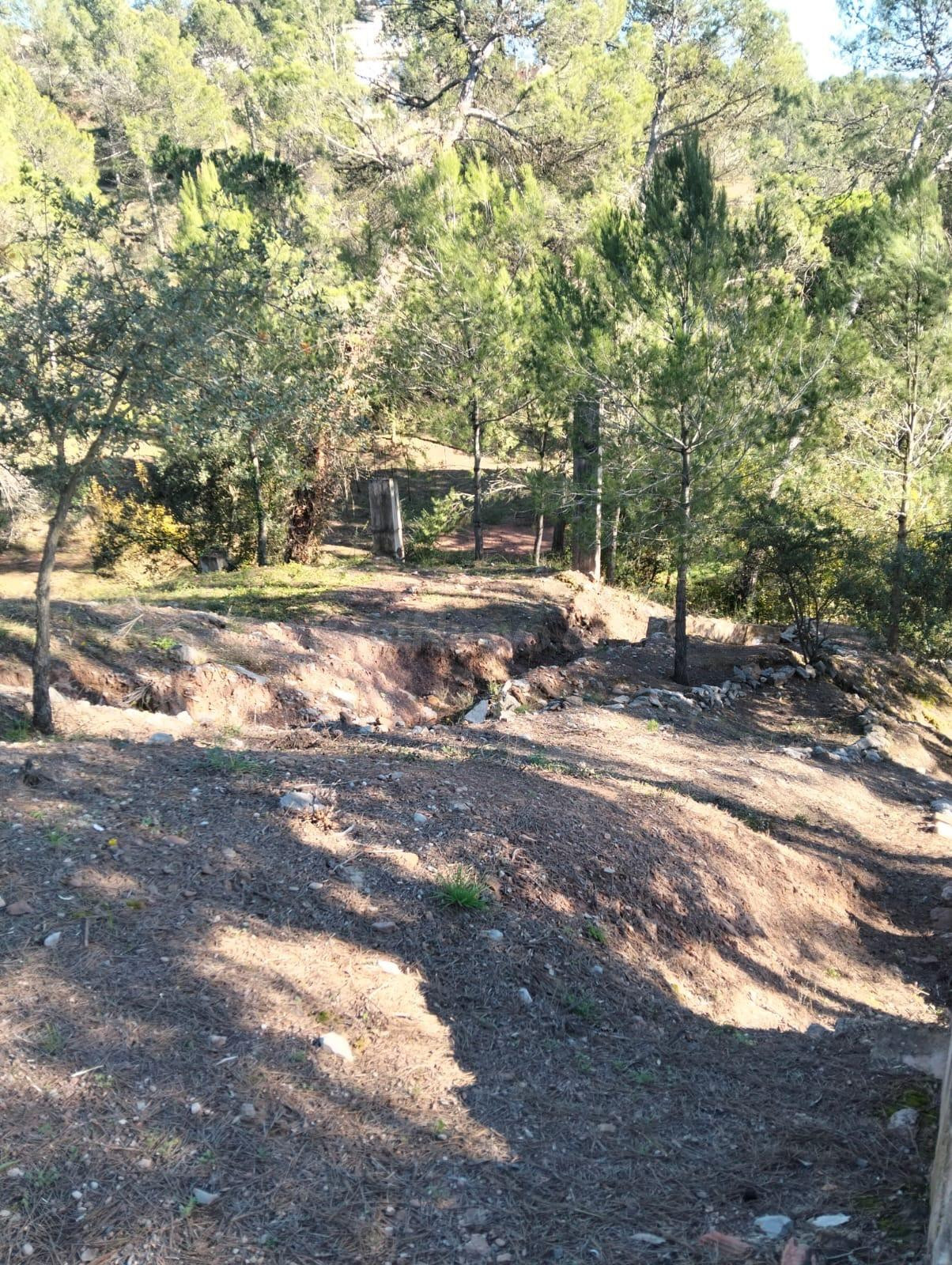 Parcela en venta en Pinedes de Castellnou