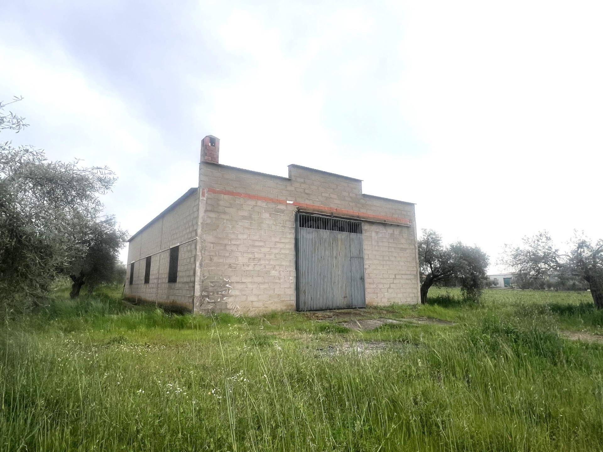 PARCELA CON NAVE EN COTO PERRERO (DON BENITO)