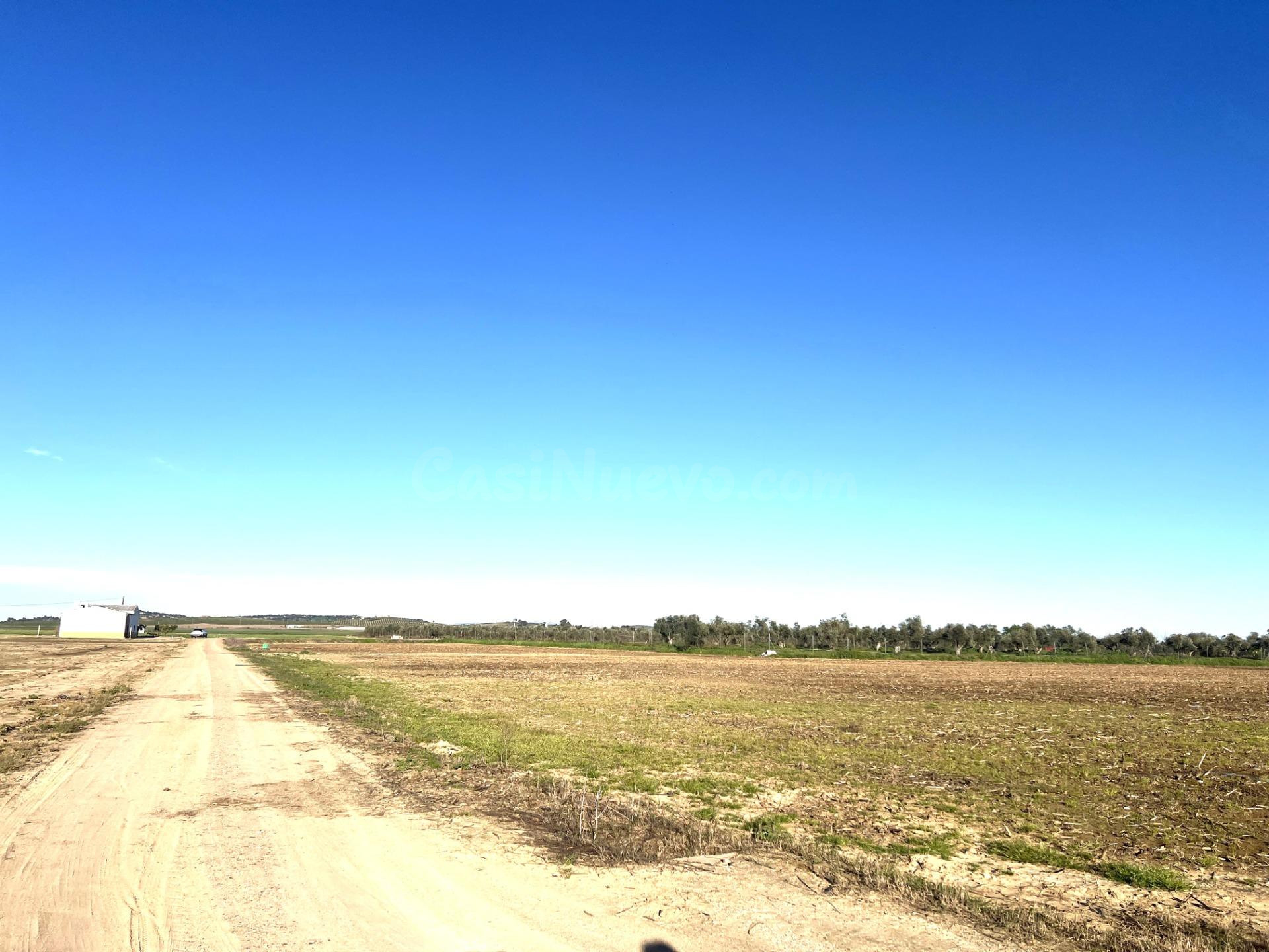 FINCA RUSTICA EN PARAJE LAS CULEBRAS