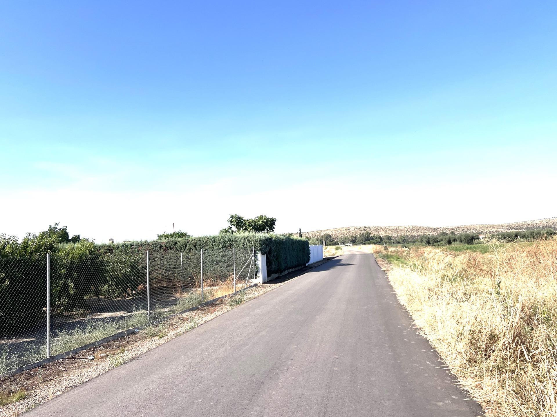 PARCELA RÚSTICA EN LA ZONA CAMINO DE LOS RANCHOS