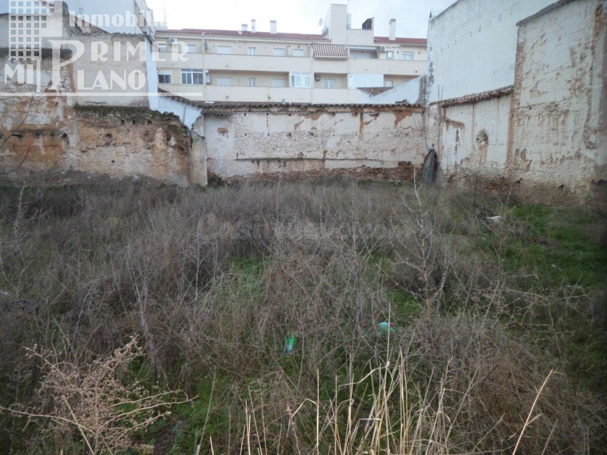 *SOLAR EN VENTA JUNTO A CALLE NUEVA CON 440m2 Y 22 METROS DE FACHADA*