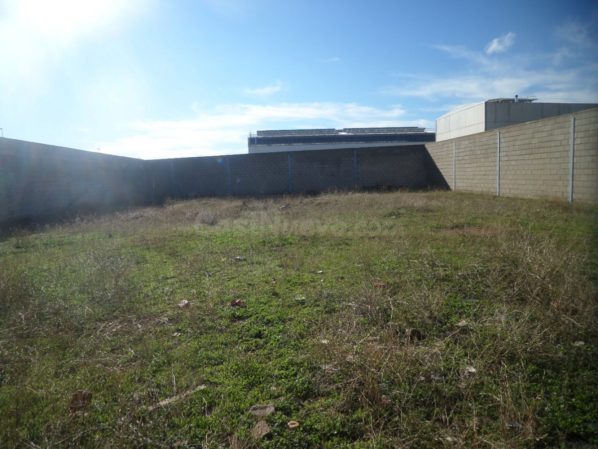Solar 738m² en venta - Tomelloso