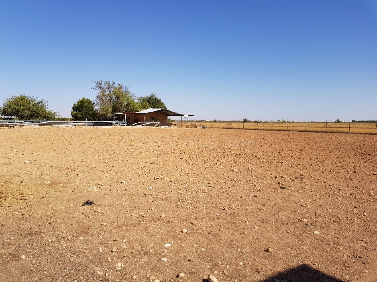 Solar 14000m² en venta - Tomelloso