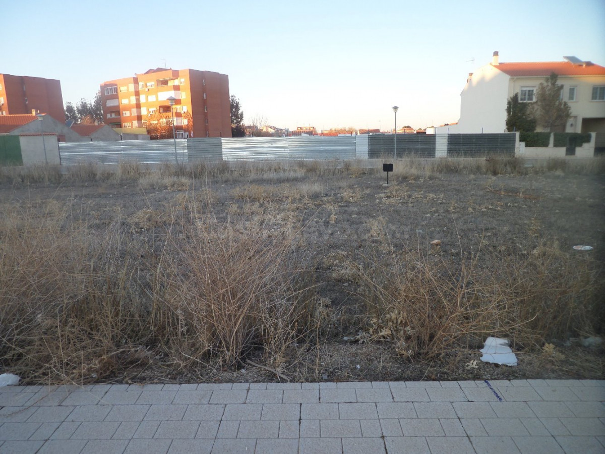 Solar de 250 m2 POLIGONO 20 en la Avenida principal, Avda De La Constitucion con 11 metros fachada