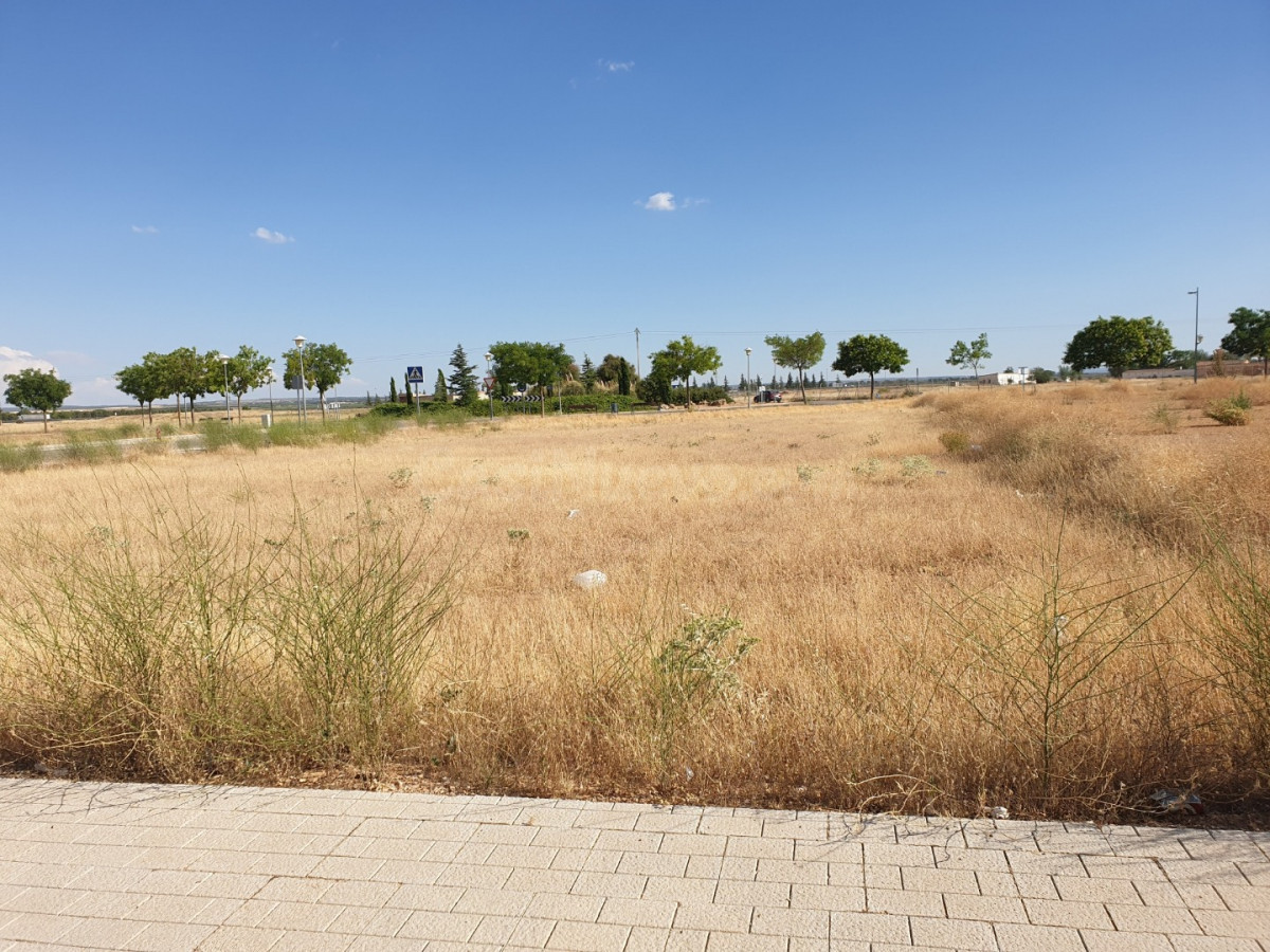 Se vende solar, junto avda Don Antonio Huertas y calle Concordia, con 819 m2, ahora por solo 204750