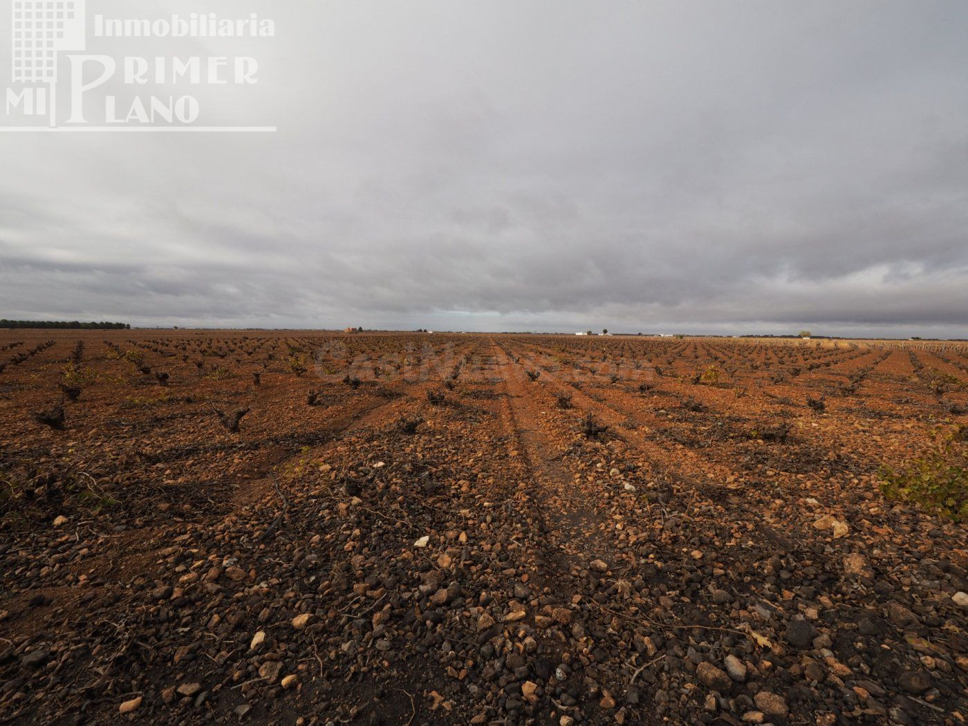 Se vende 13,3 hectareas de viña airen TODO DECLARADO DE AGUA con nave de 140m2