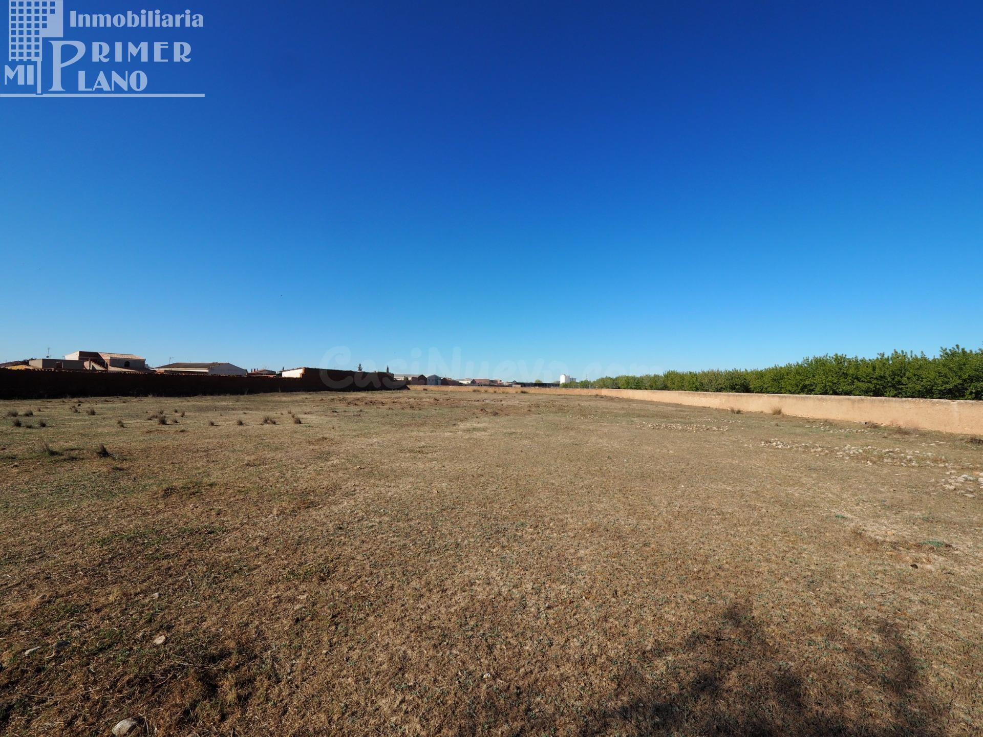 Se vende solar urbano en Argamasilla de Alba 8197 metros cuadrados con 52 de fachada