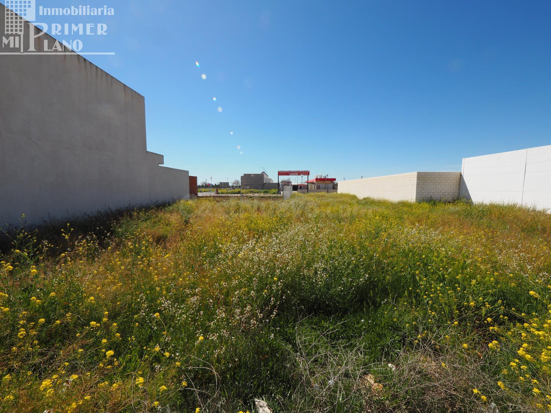 Se vende solar en el poligono 20 tomelloso con 230 m2 y 12 metros de fachada